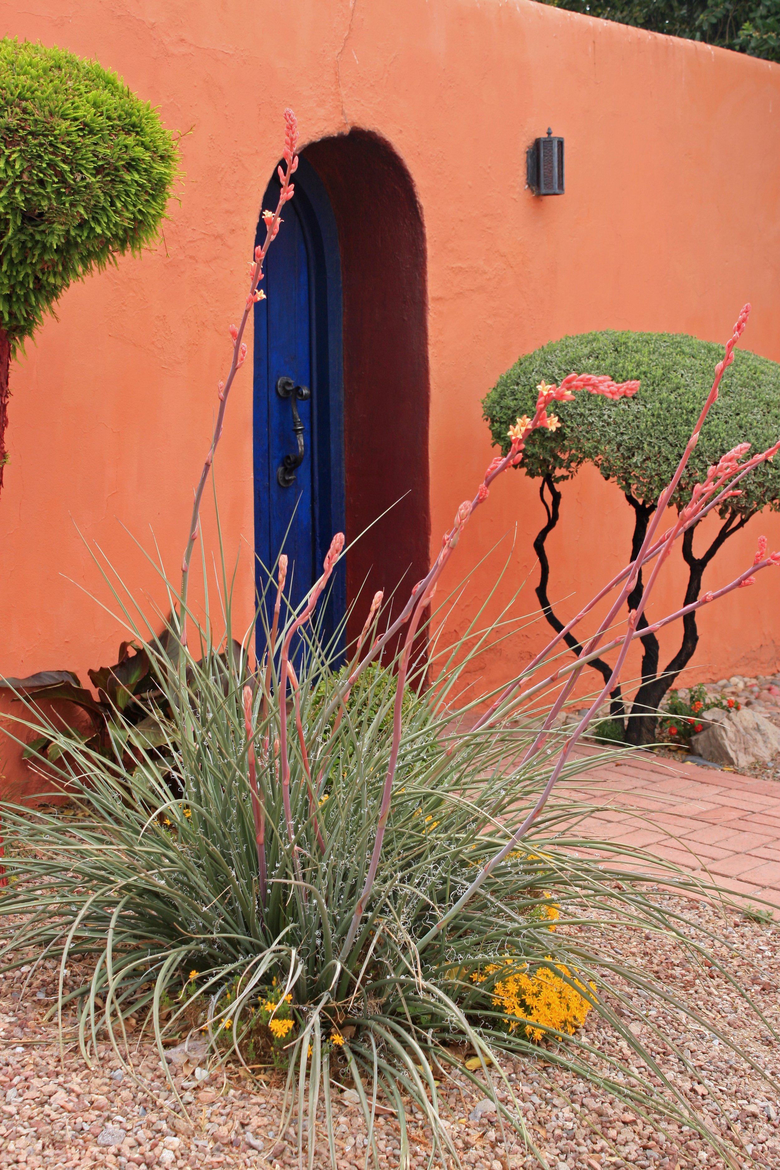 Mesilla Orange Wall Greeting Card