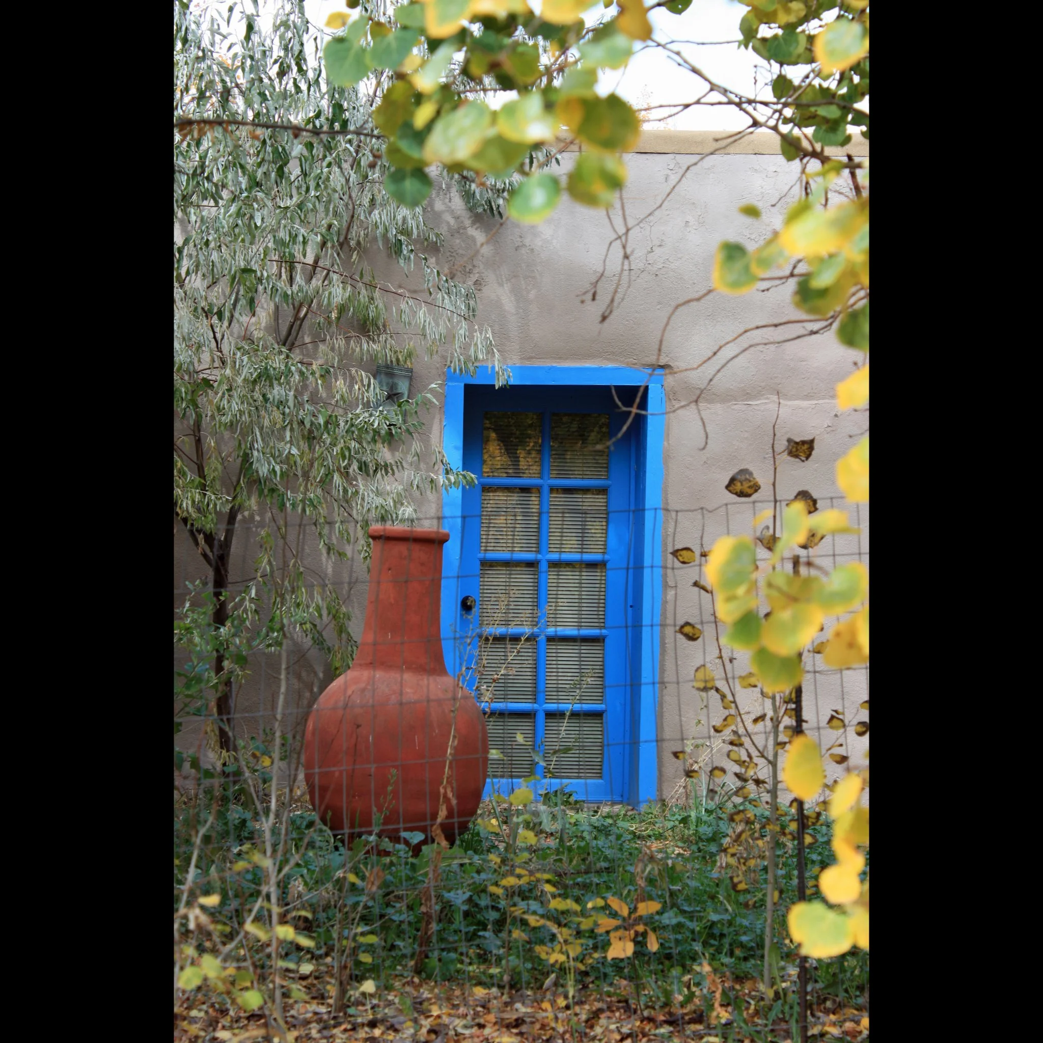 blue-door-arroyo-seco.jpg