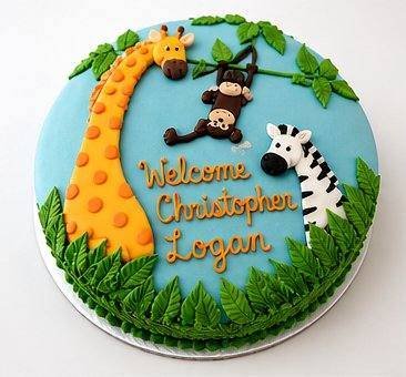 Birthday Cakes
Welcome to the Jungle