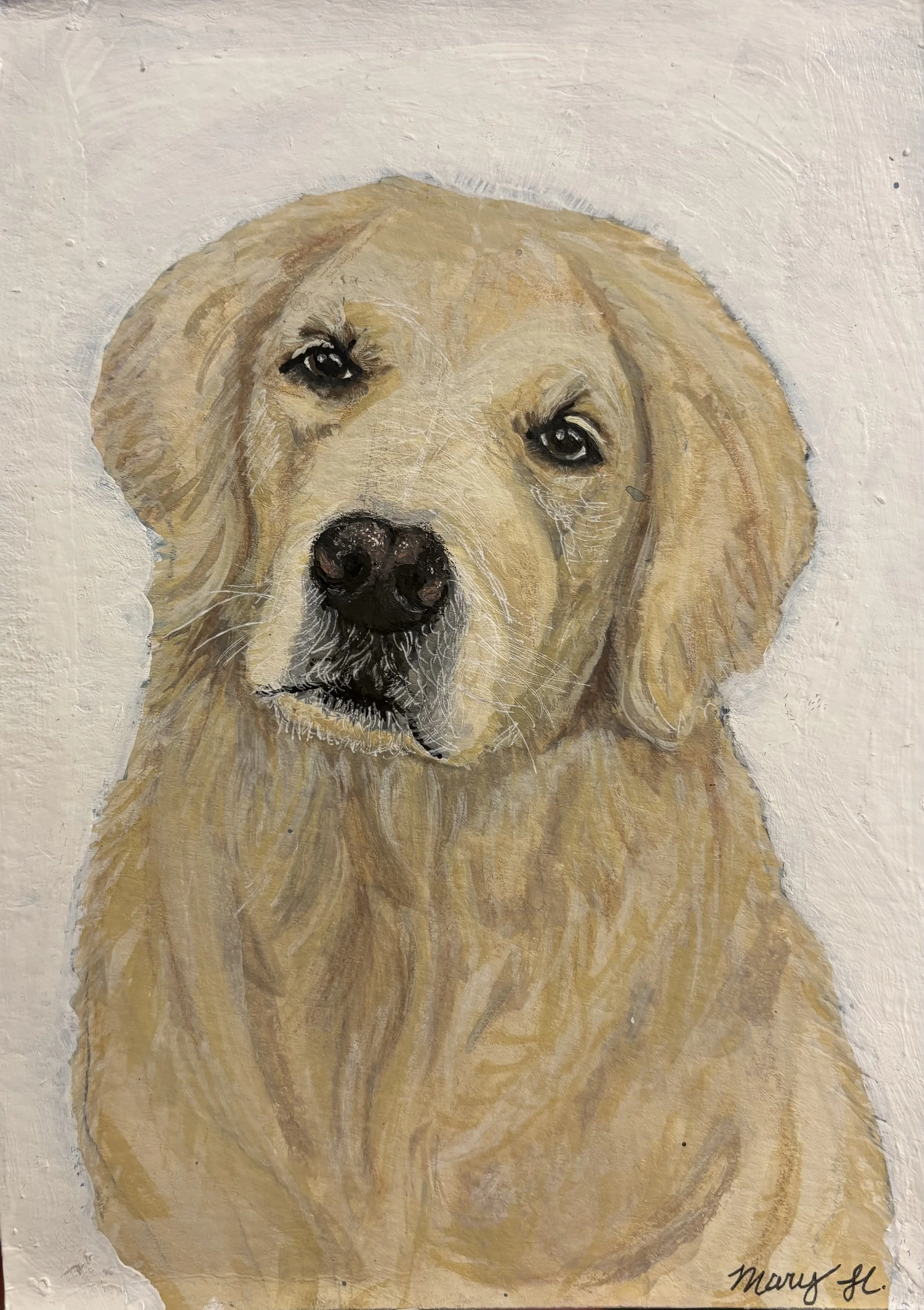 Painting of a golden retriever dog with a soft, expressive face, set against a textured light background.