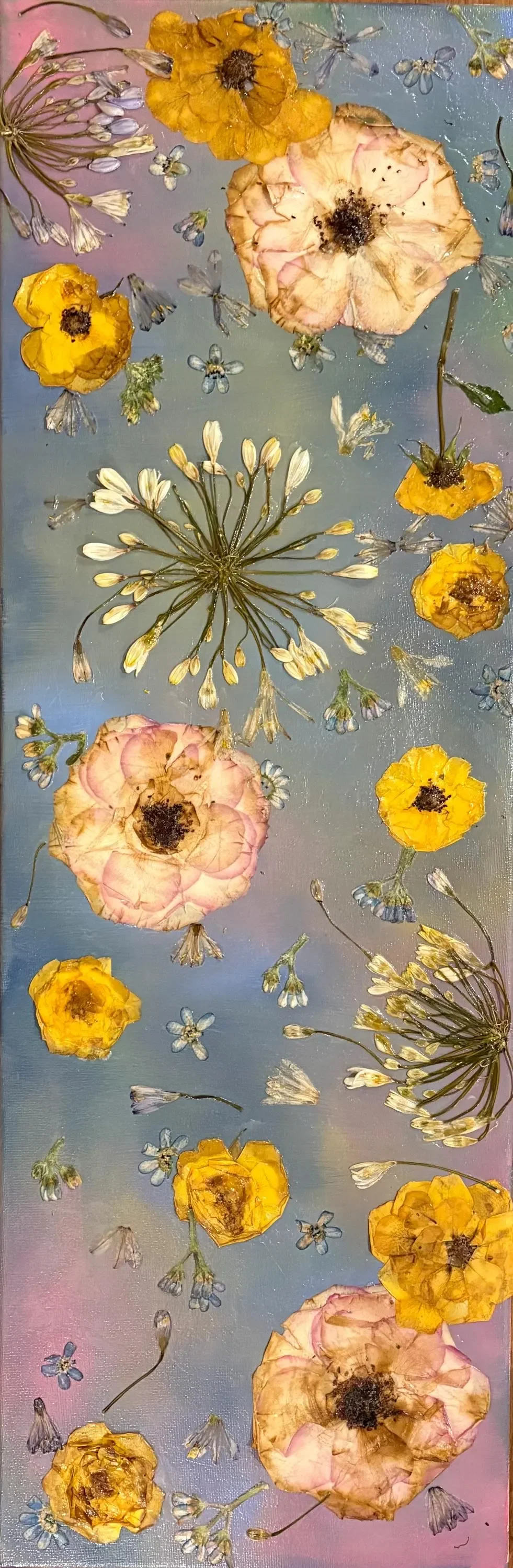 Pressed flowers including pink and white peonies, yellow poppies, and small blue and white flowers, arranged on a pastel-colored background.