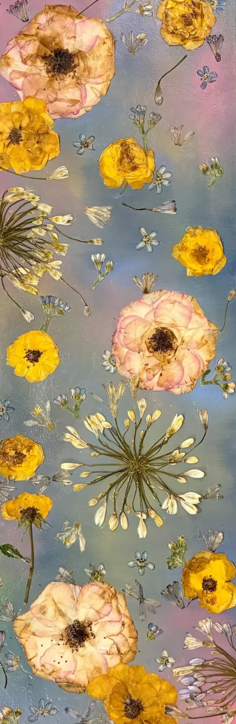 Pressed flowers including pink and yellow blossoms, small blue flowers, and white flower heads laid against a pastel-colored background.
