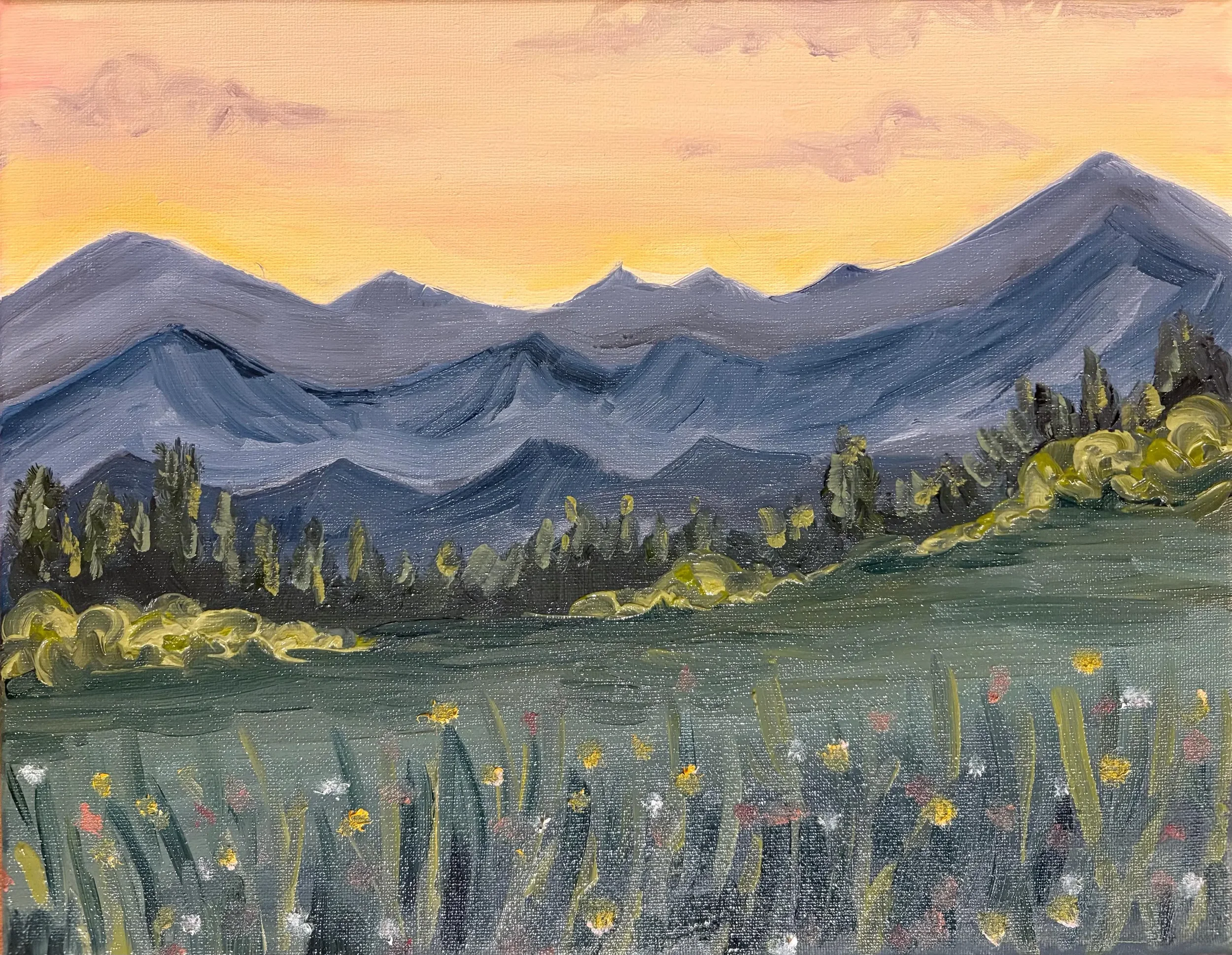Mountain Meadow