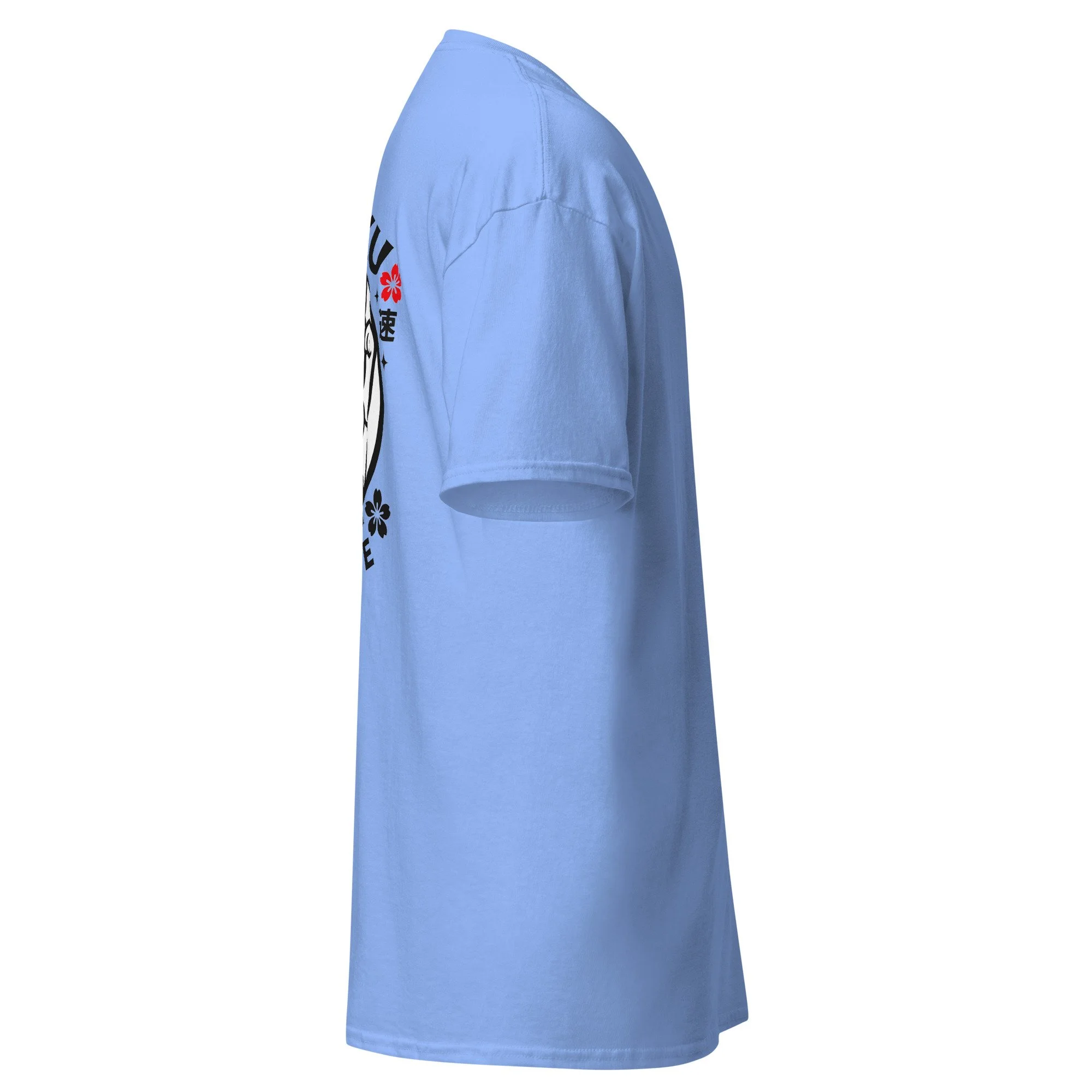 unisex-classic-tee-carolina-blue-right-6a131d45be708.jpg