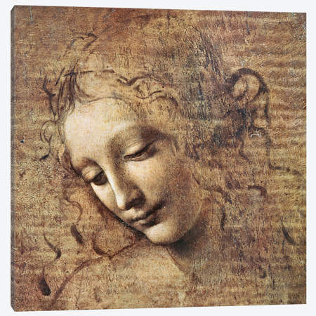 A close-up of Leonardo da Vinci's 'Lady with an Ermine' portrait, showing a woman with a gentle expression and wavy hair.