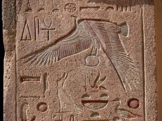 Ancient Egyptian hieroglyphics carved in sandstone, depicting a bird with outstretched wings, along with various symbols and shapes.