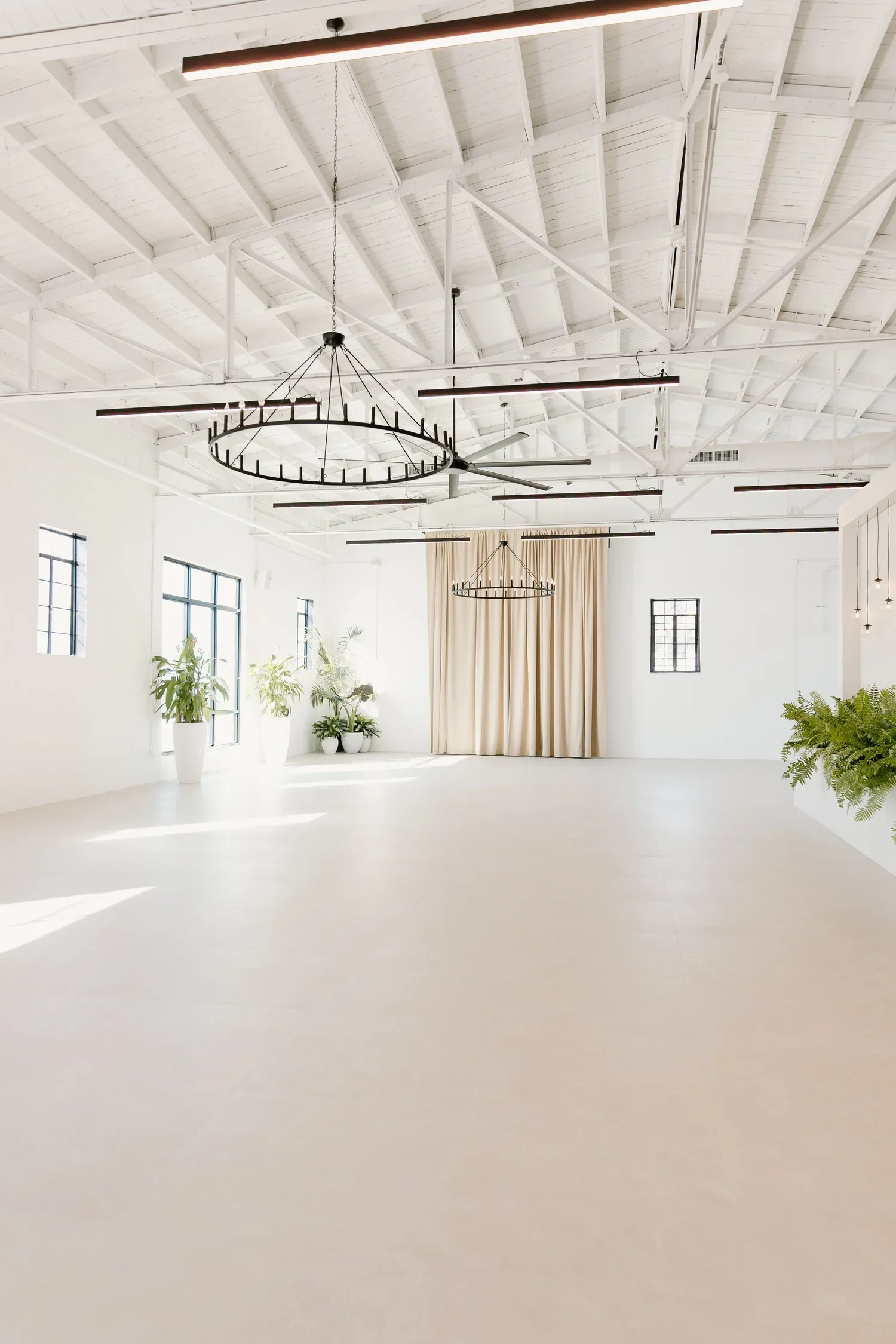 Alorae Wellness Social