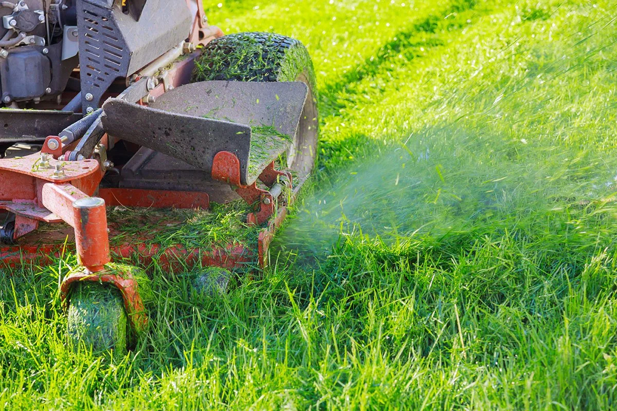 Mower trimming lawn close up view