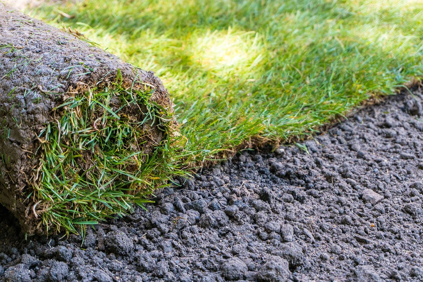 Sod being rolled onto lawn