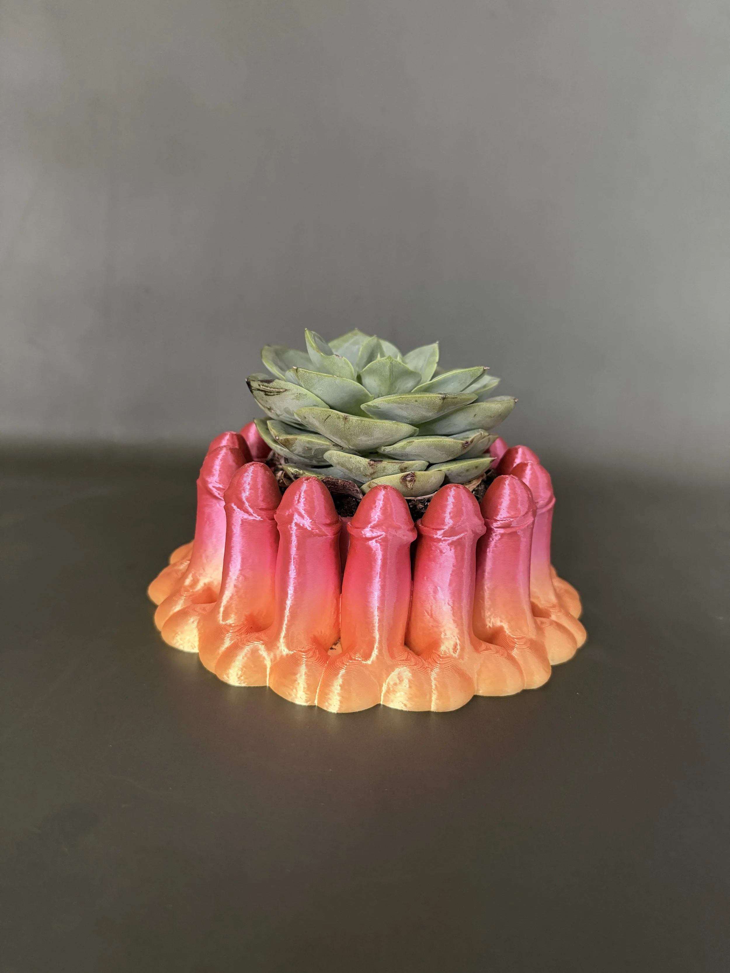 Penis Bowl