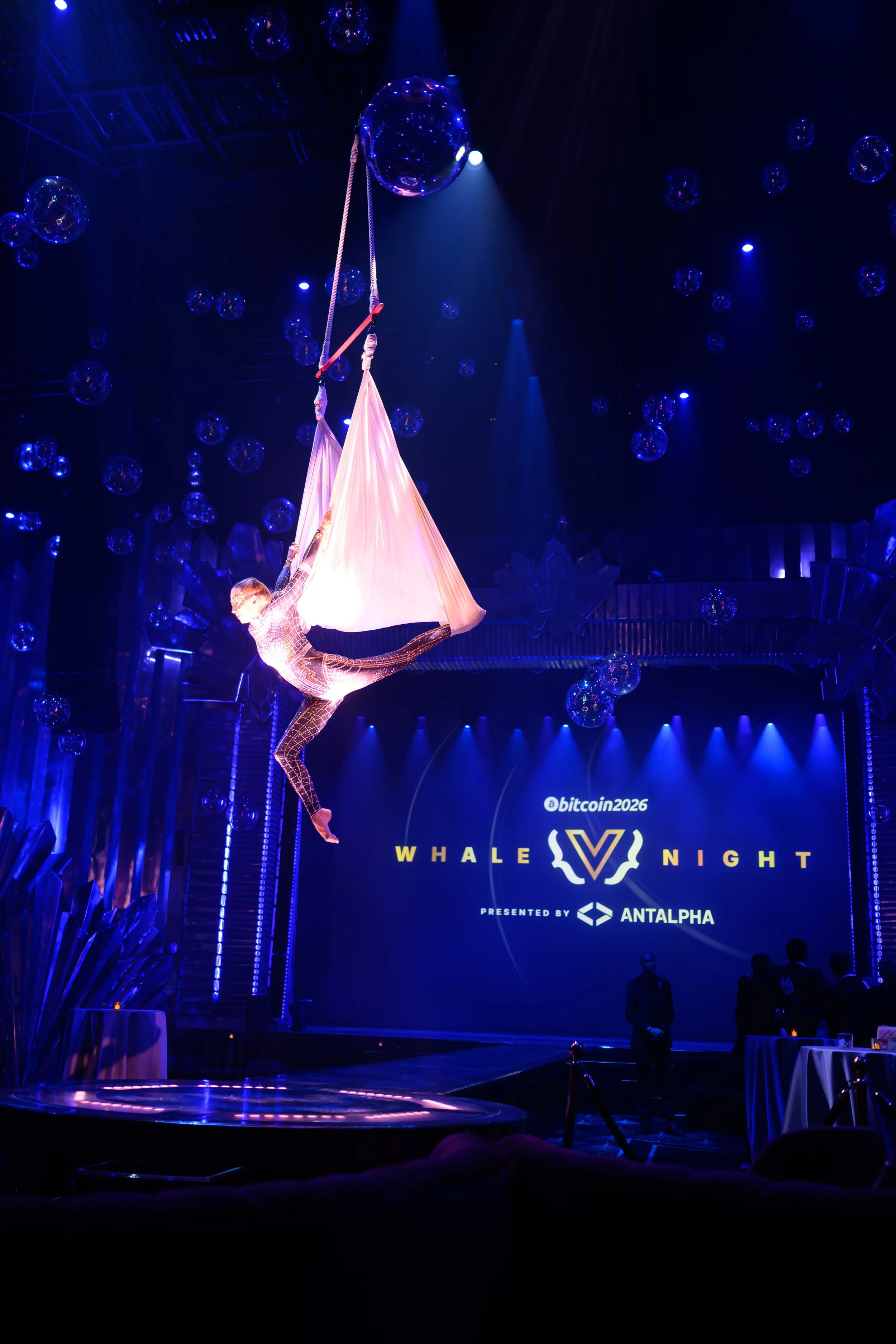 4.27.26_BTCMedia_WhaleNight_Voltaire_124.jpg
