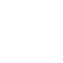 Icon of a shopping bag