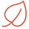 Simple red line drawing of a leaf.