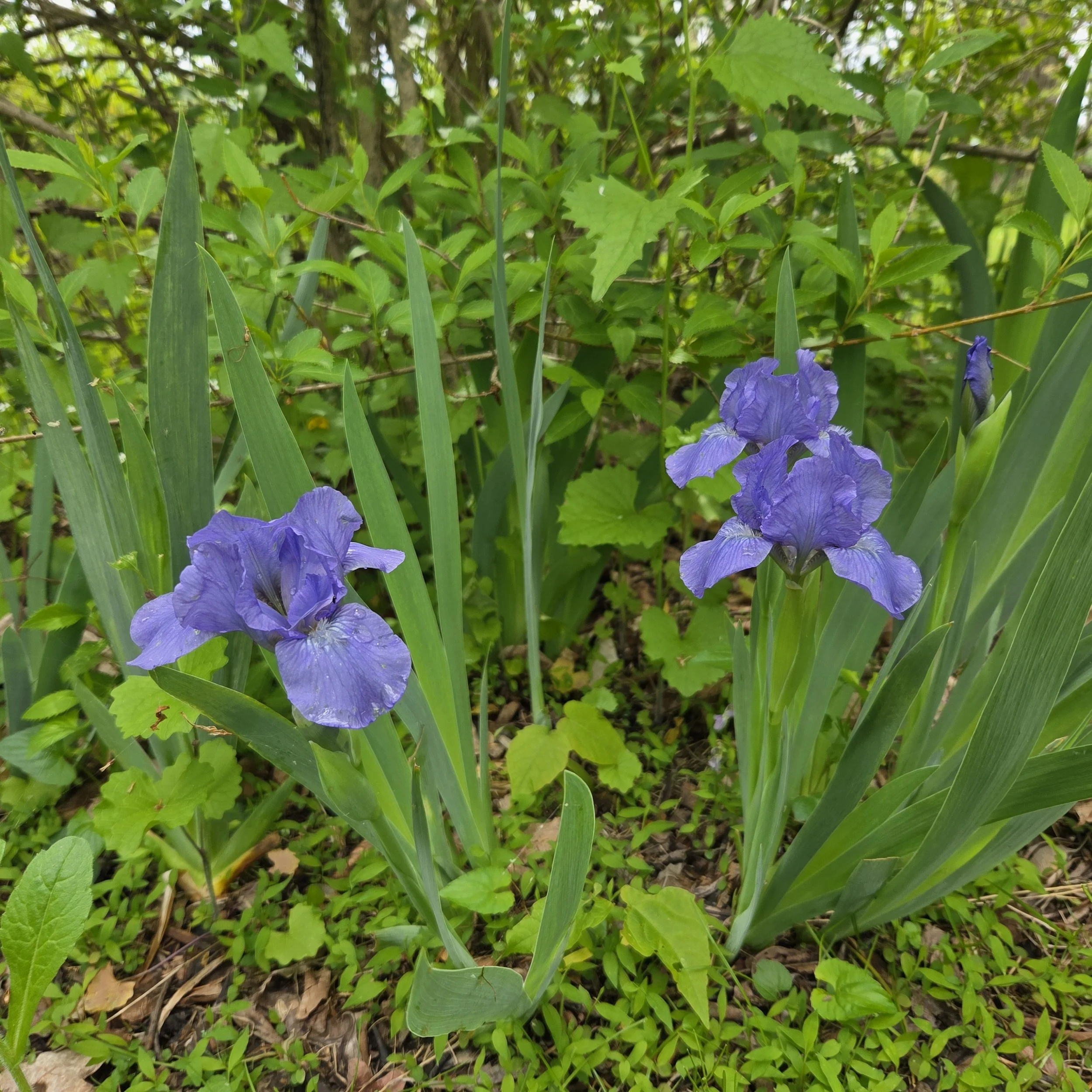 20260510_131152.jpg