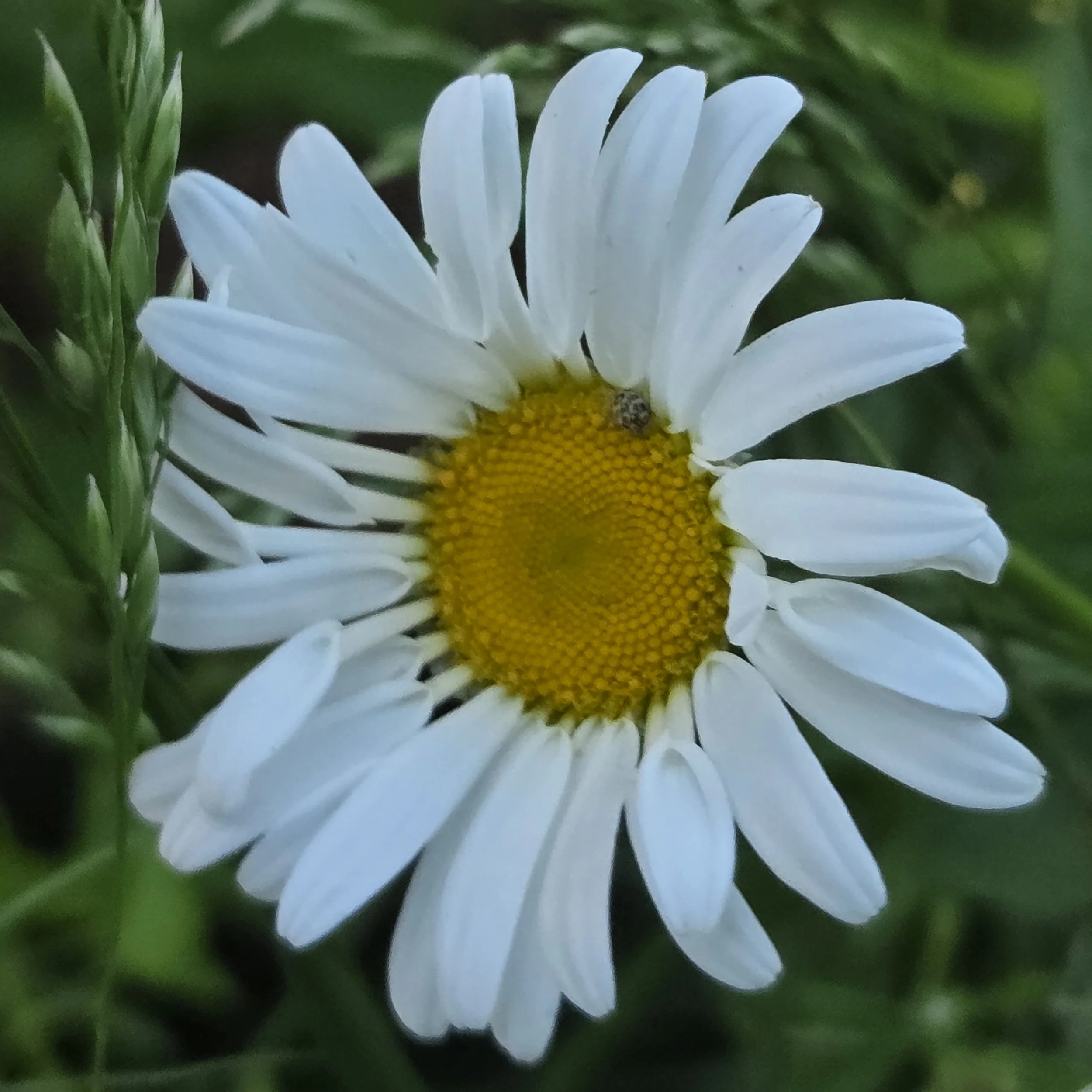 1000091905.jpg