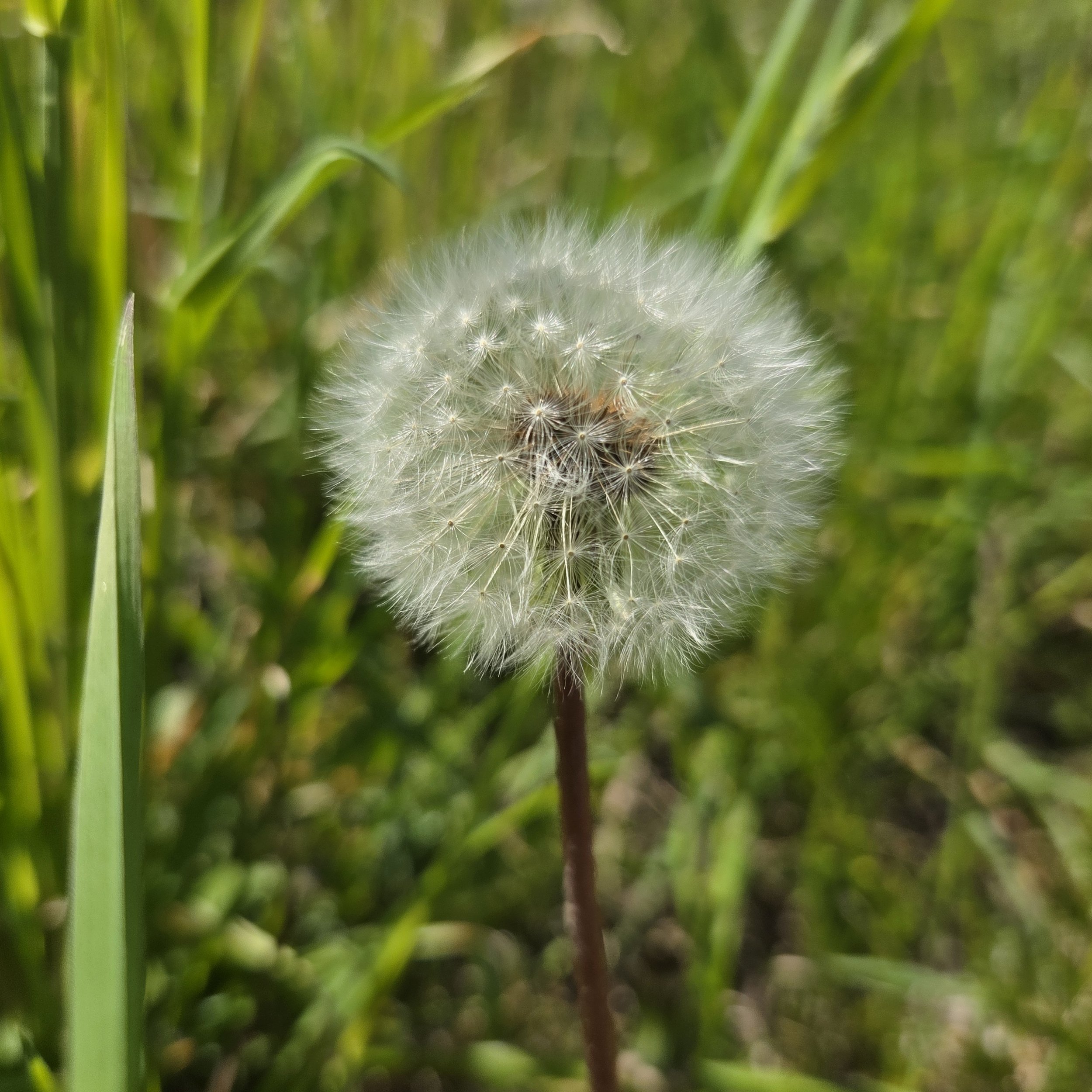 20260512_150354.jpg