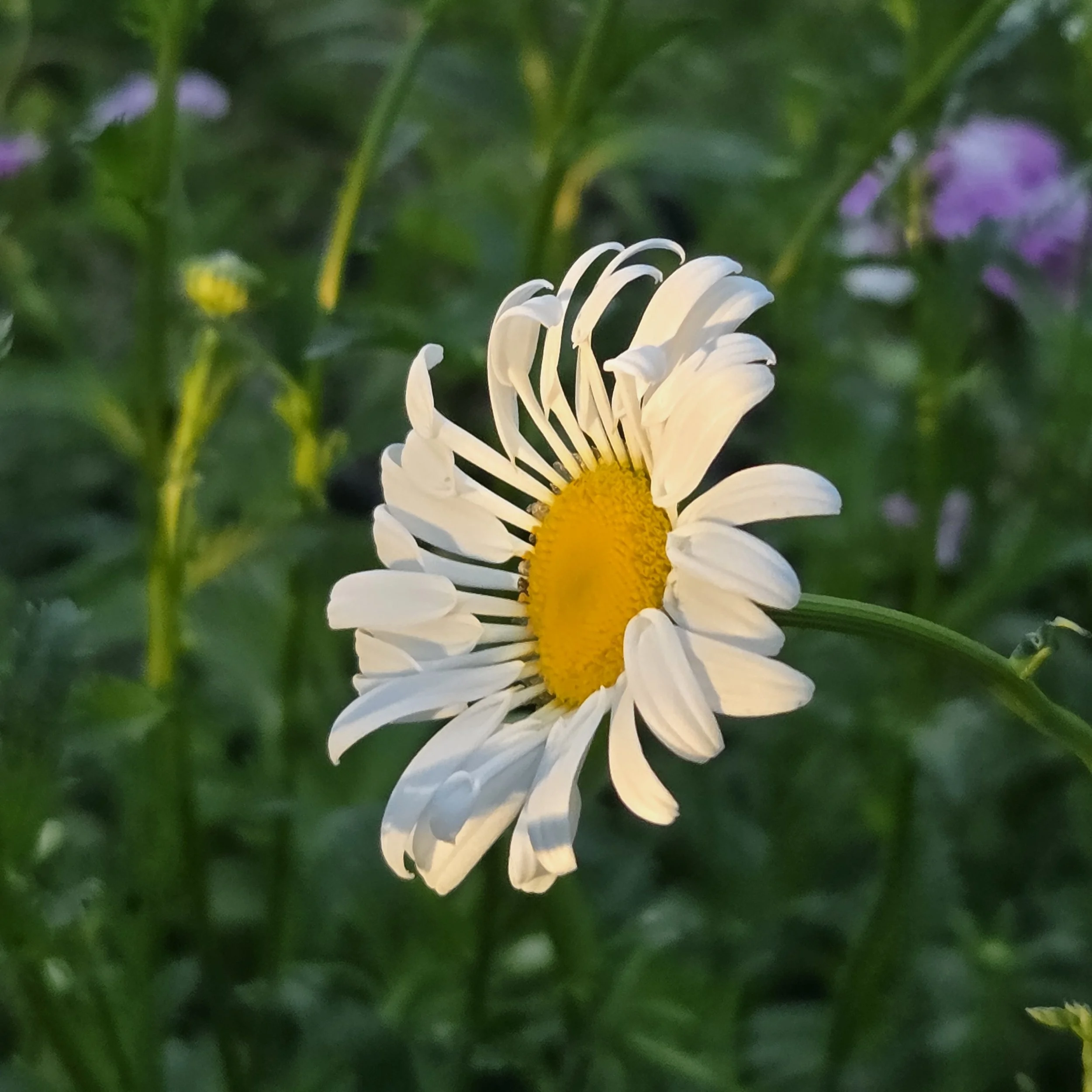 1000091911.jpg