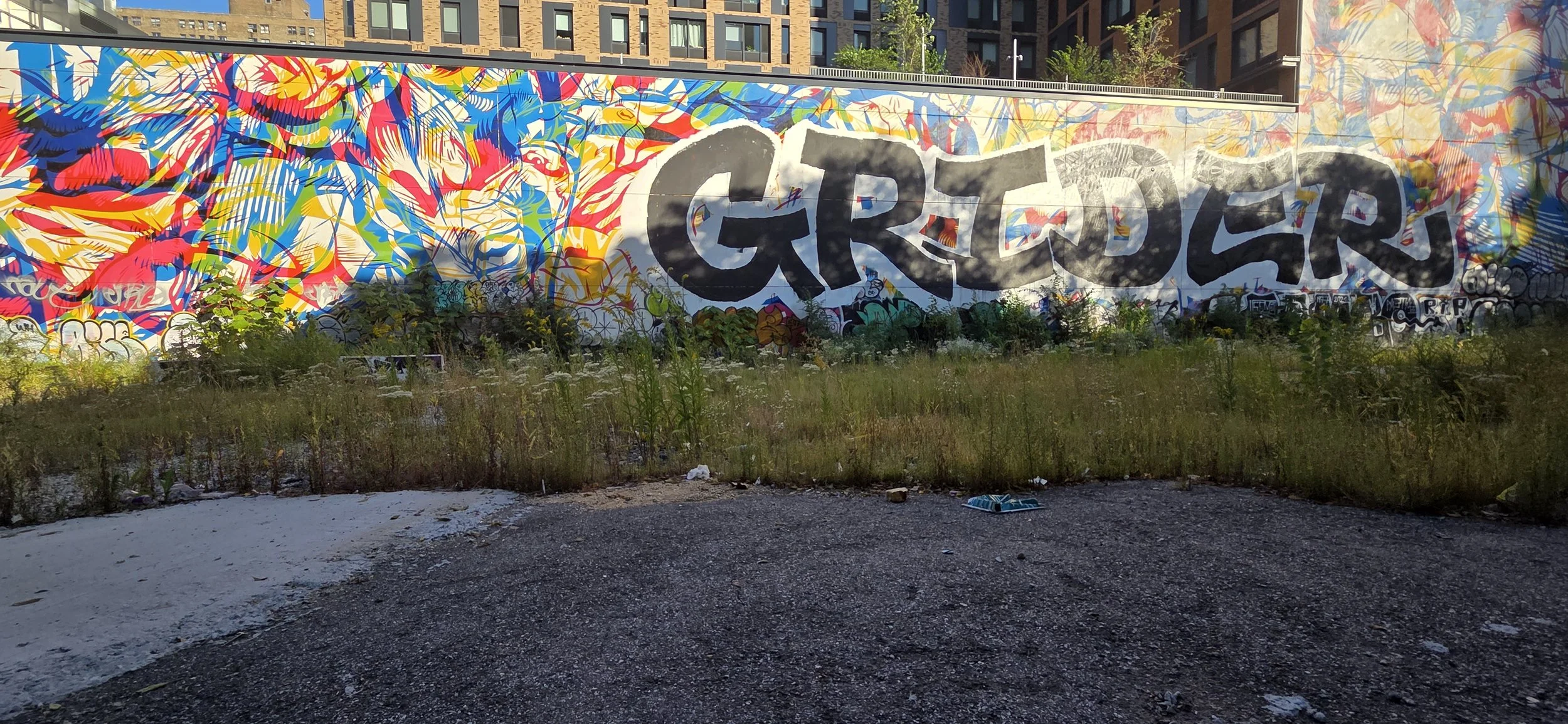 20250928_170245.jpg