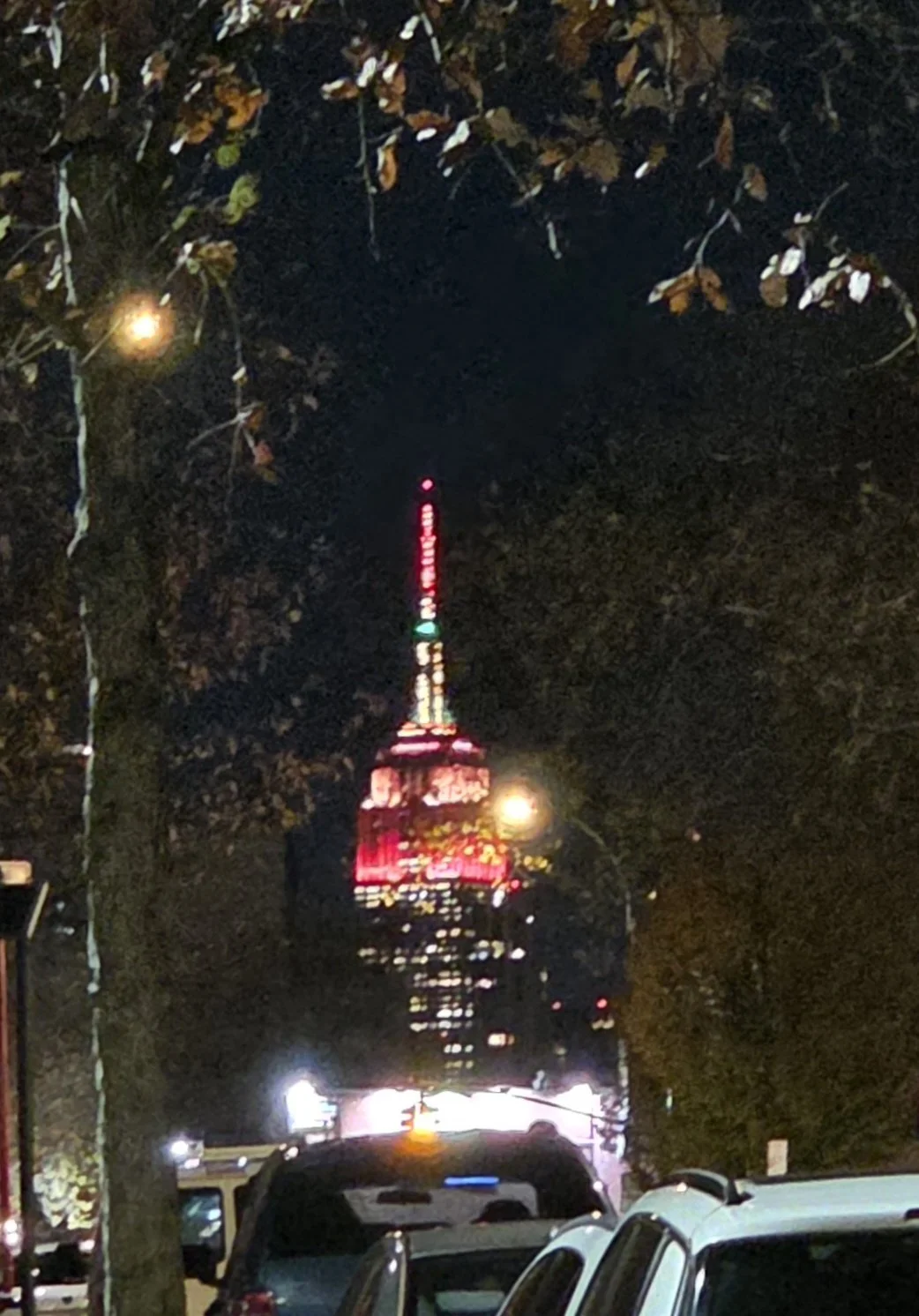 20251127_173327.jpg