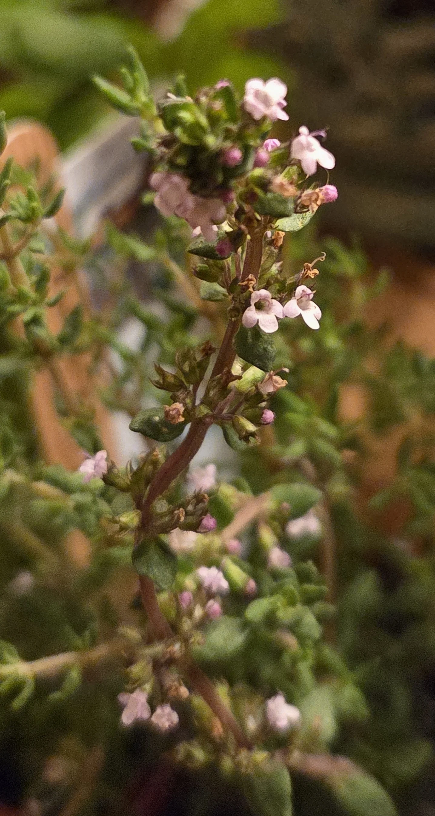 20260509_205144.jpg