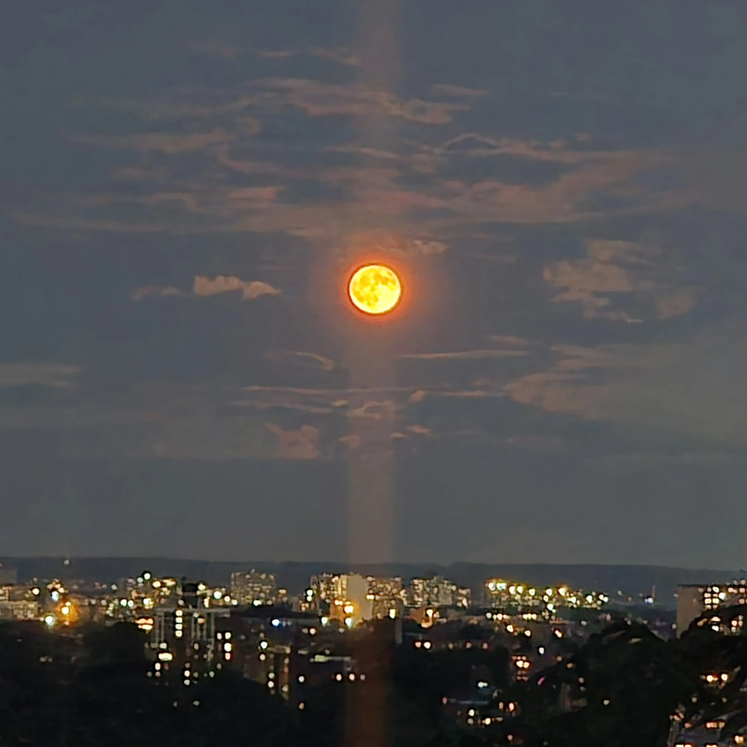 1000098536.jpg