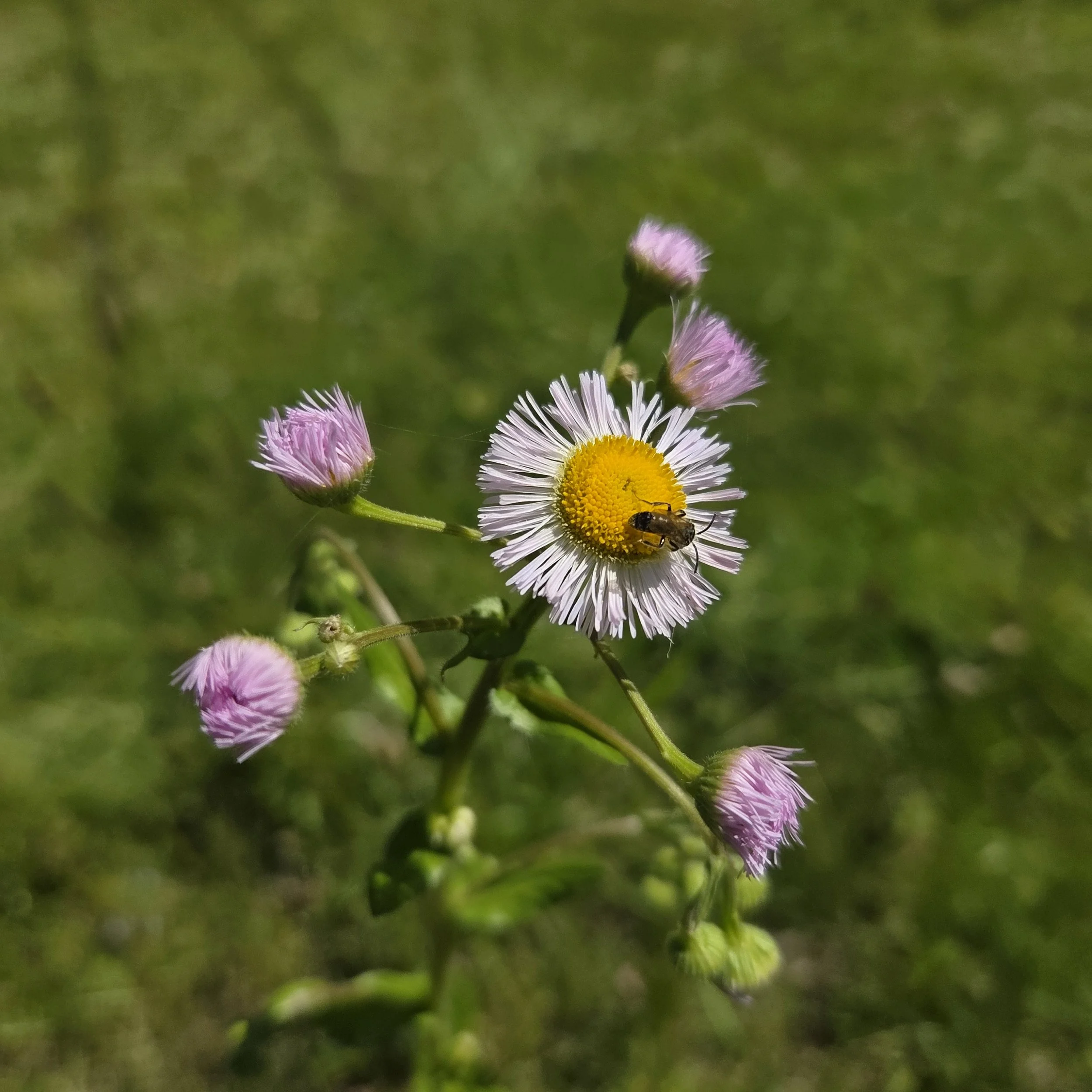 20260512_142545.jpg