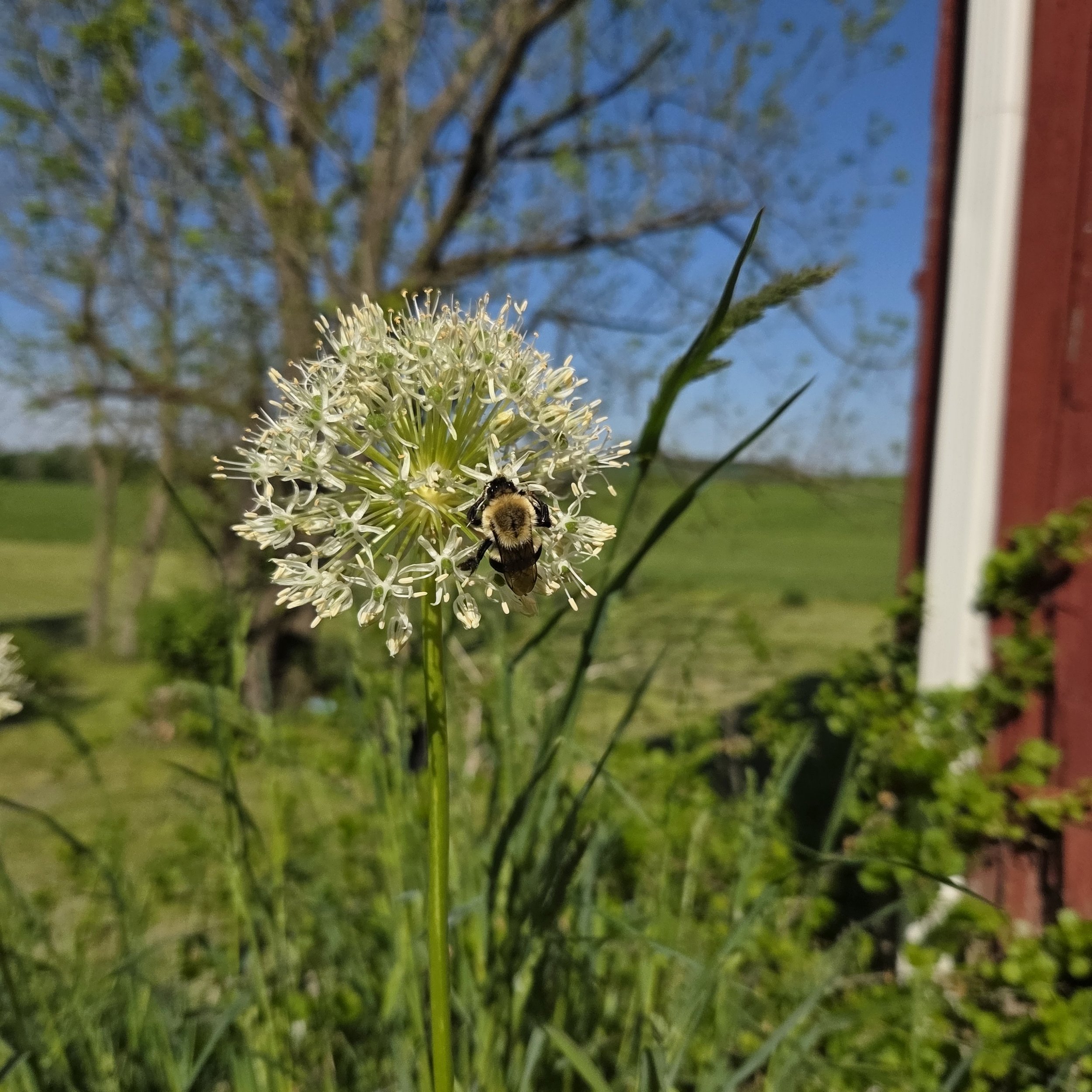 20260517_090937.jpg