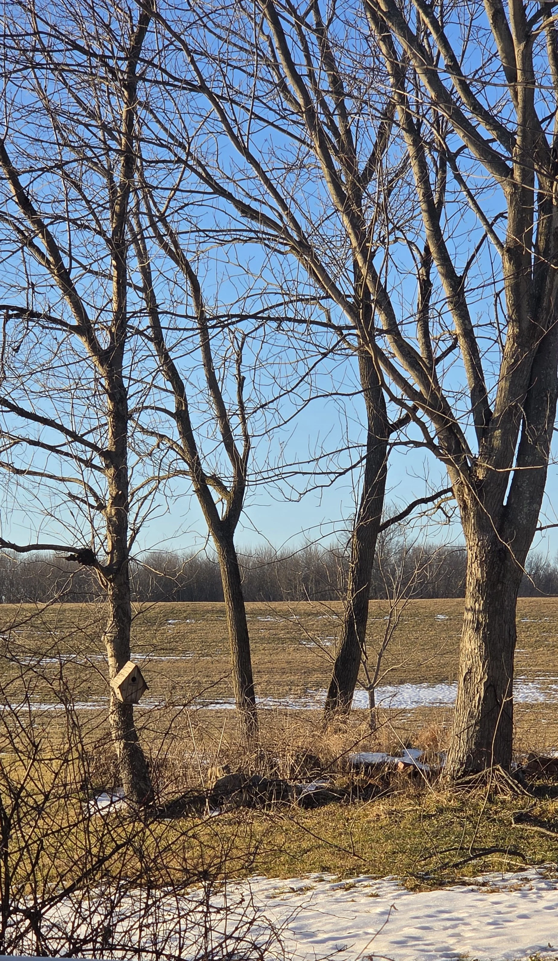 20260108_154635.jpg