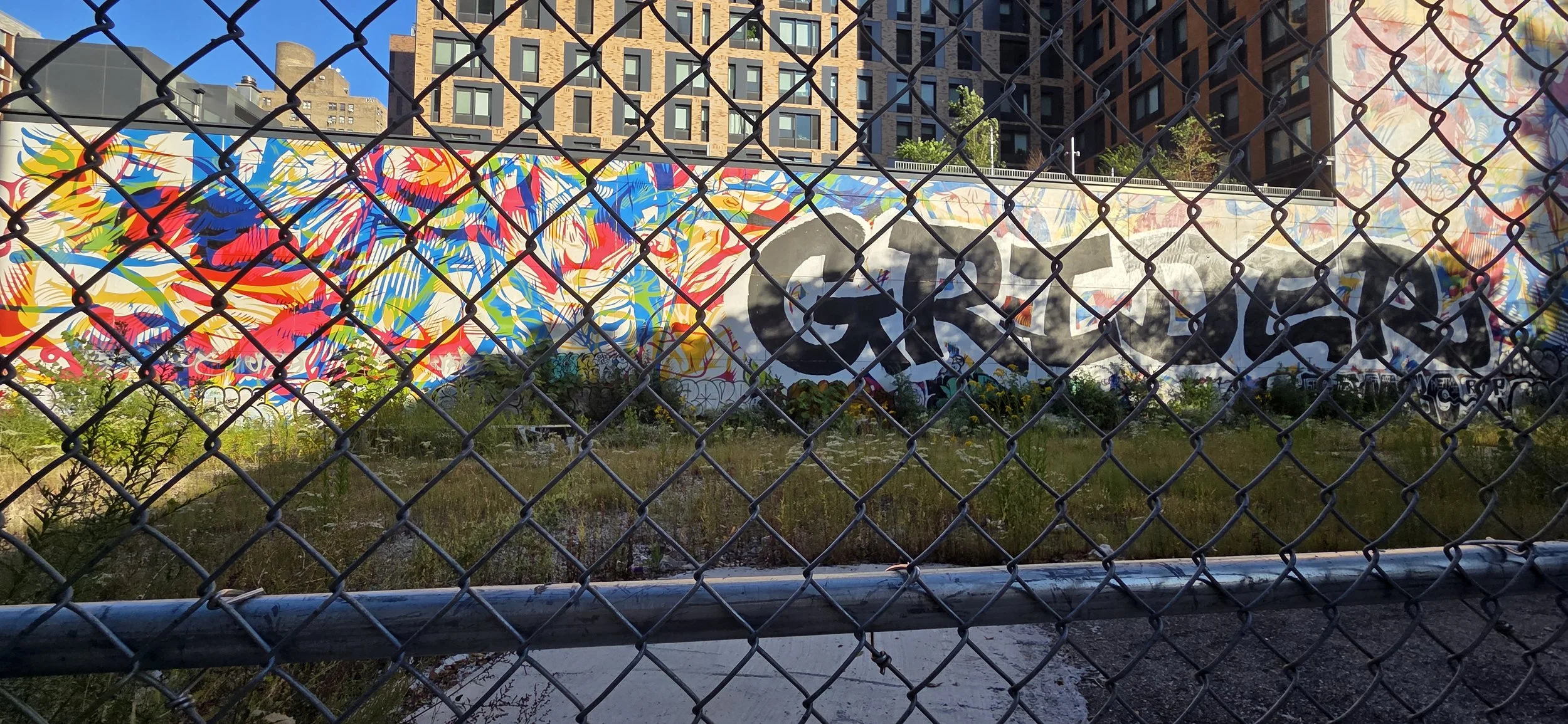 20250928_170213.jpg