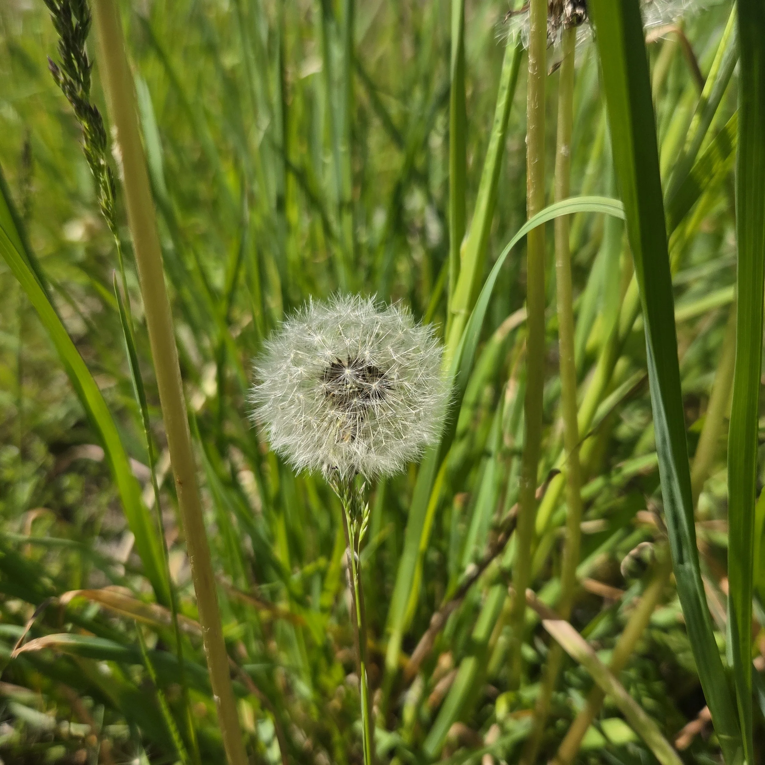 20260512_150342.jpg