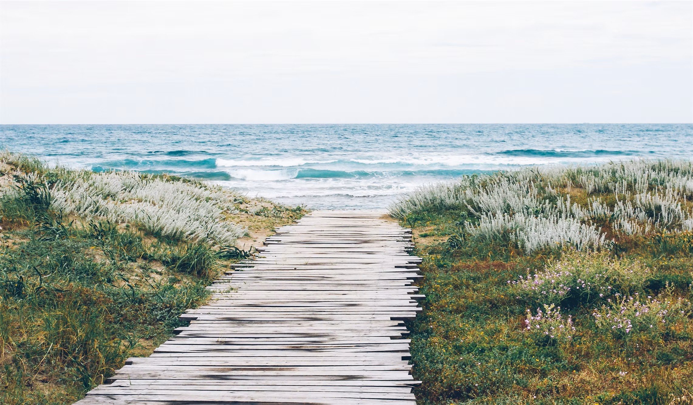 Wooden pathway leading to a beach with waves and ocean in the background, sandy dunes with green and purple vegetation on sides