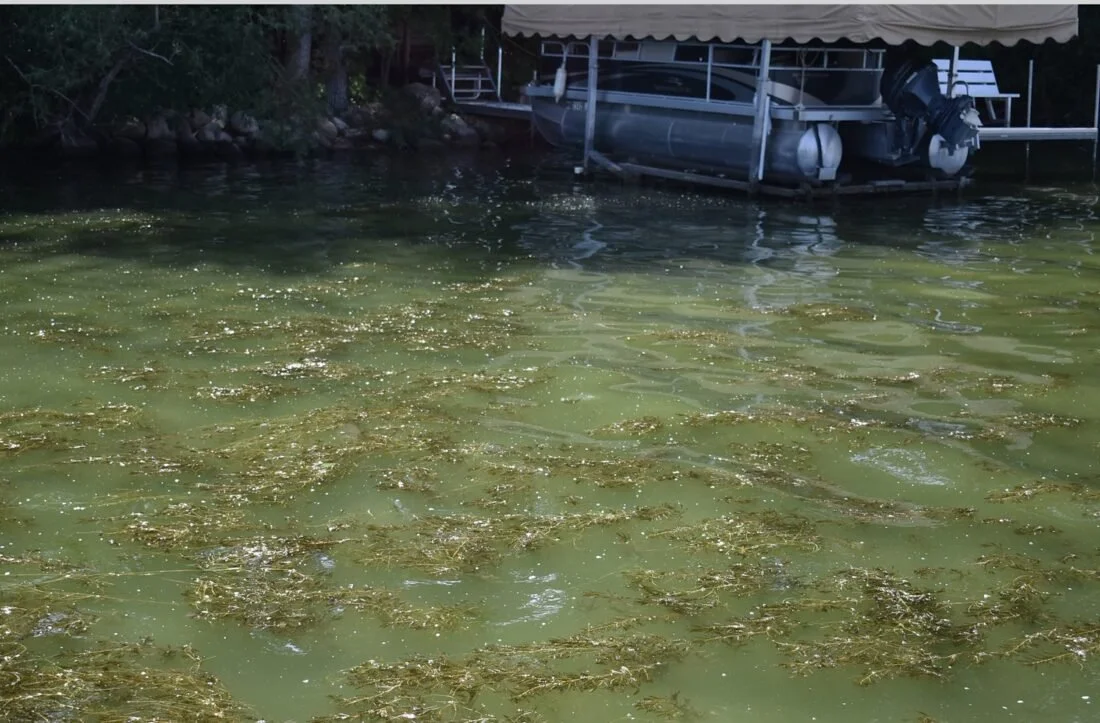 AQUATIC WEED MANAGEMENT