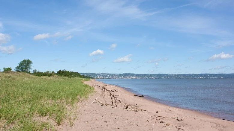 SHORELINE RESTORATION