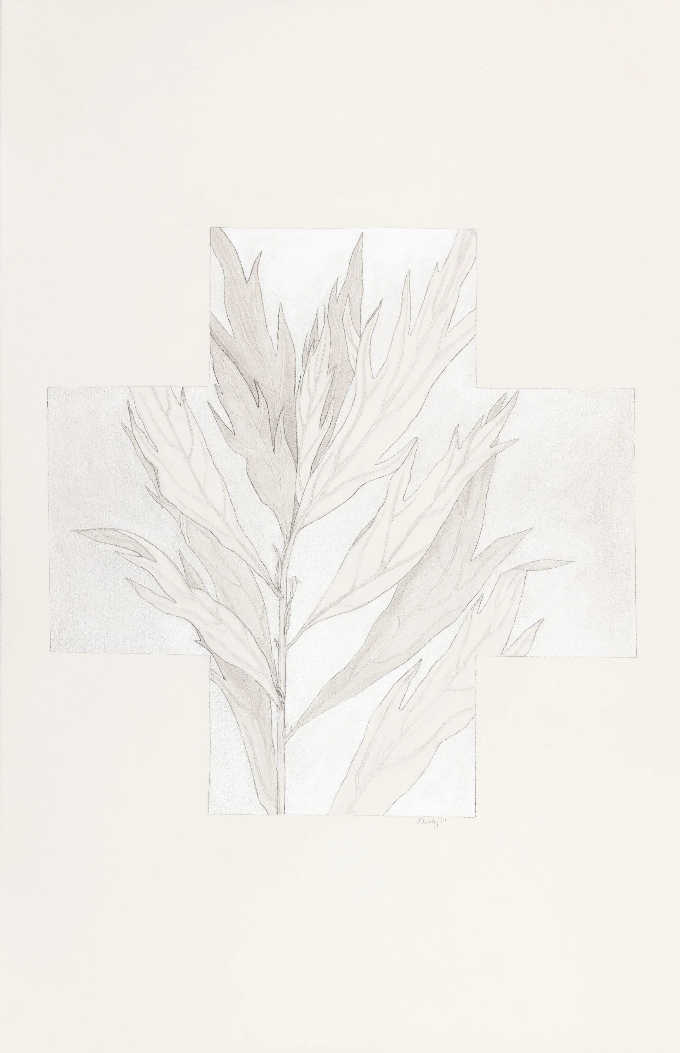 Victoria.Canby_Works-on-paper_2026-07-23-0001.jpg