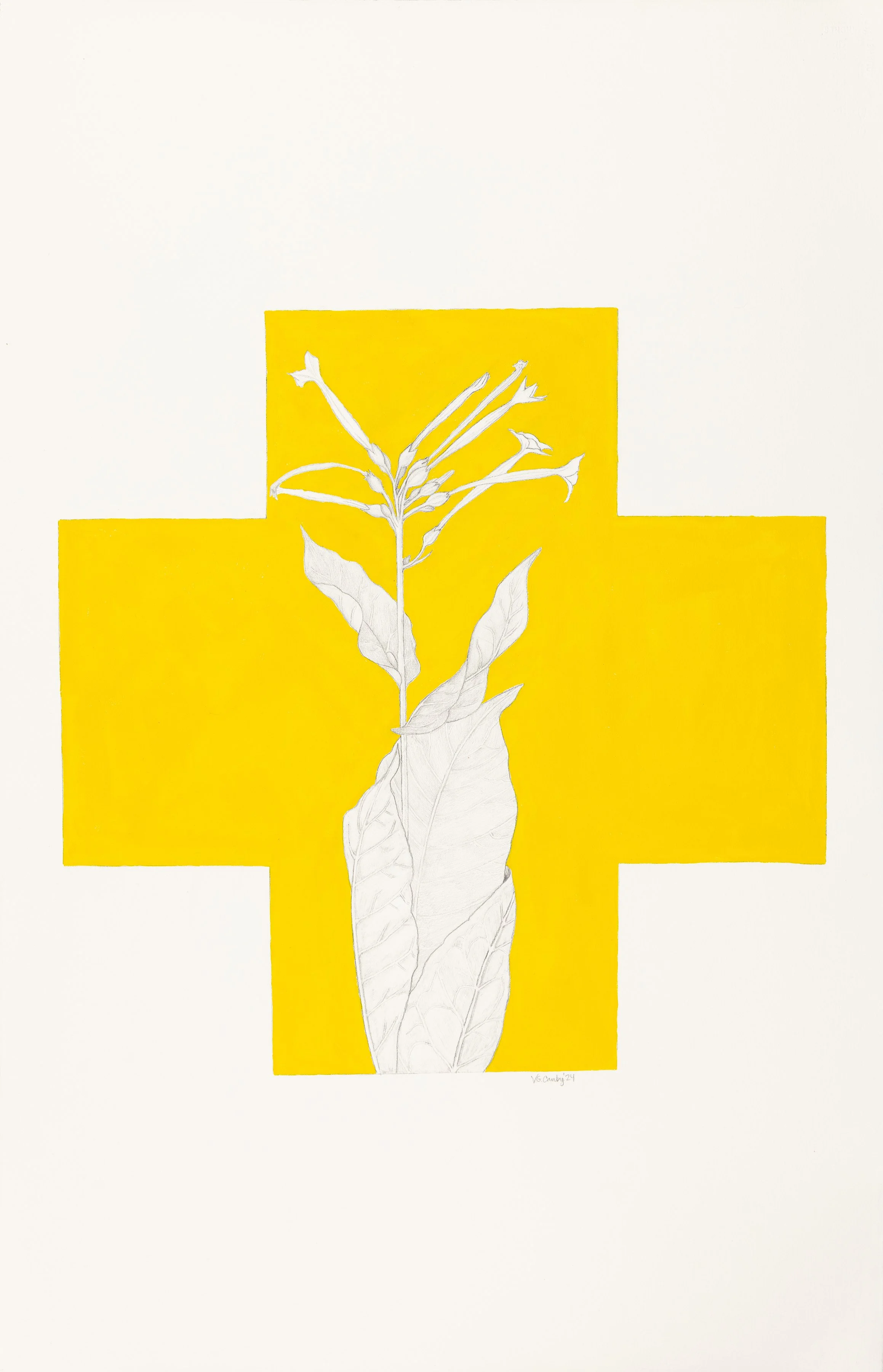 Victoria.Canby_Works-on-paper_2026-07-23-0002.jpg