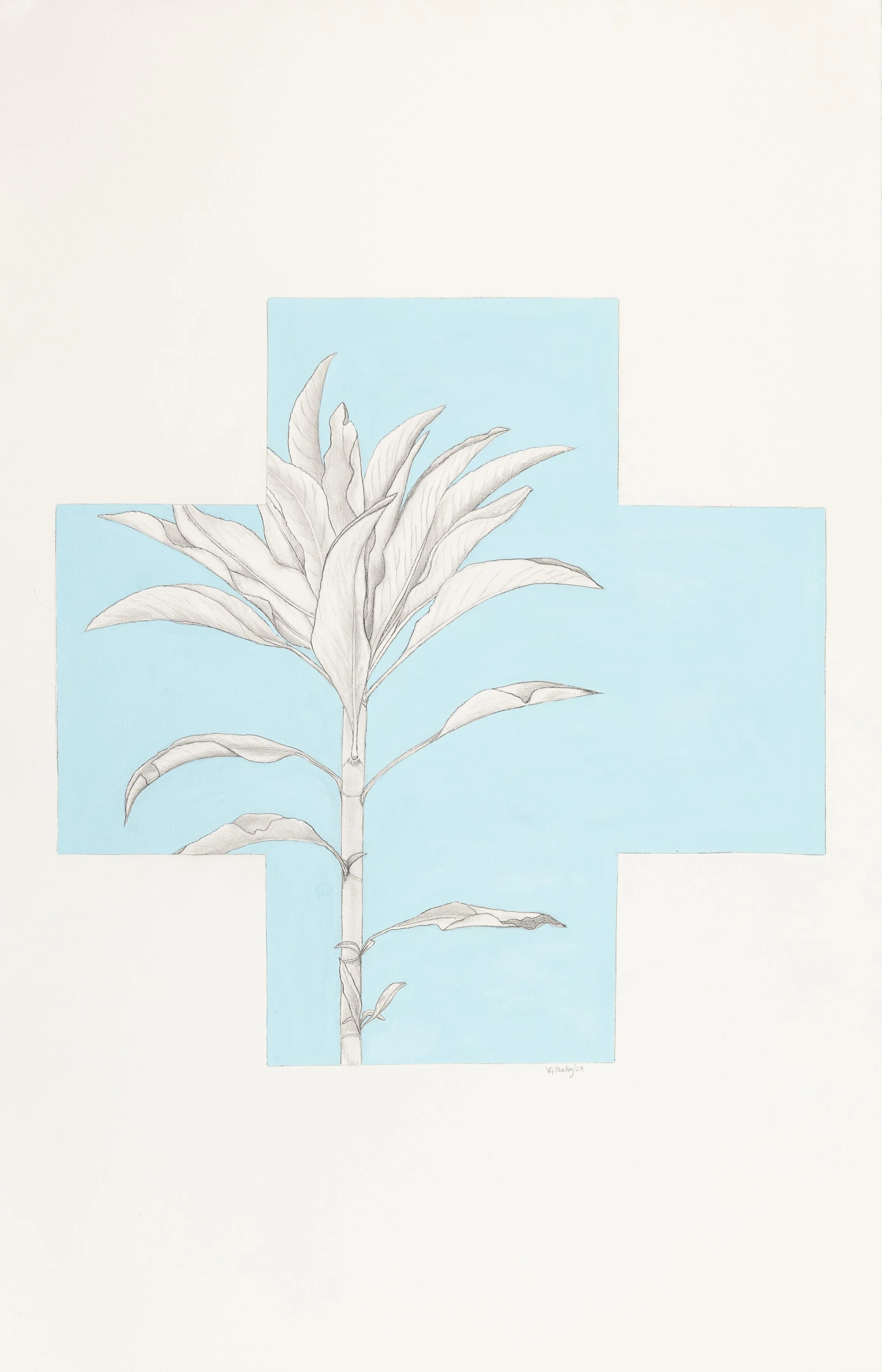 Victoria.Canby_Works-on-paper_2026-07-23-0003.jpg