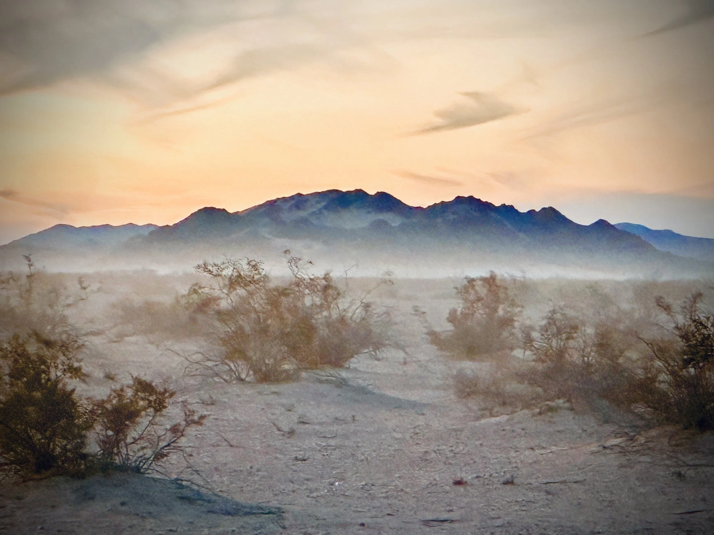 Wonder Valley Sunset