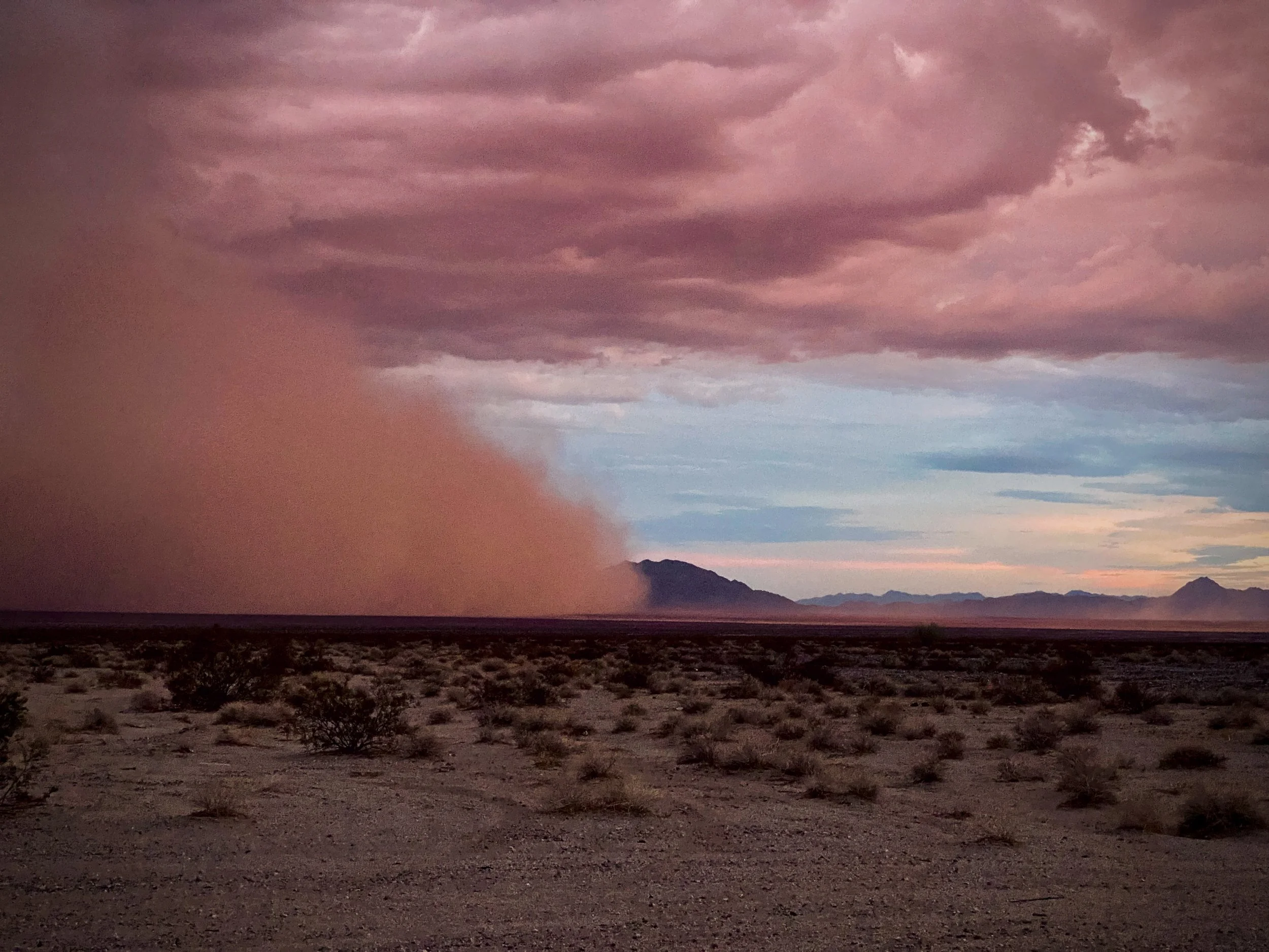 Desert Storm 2.jpg
