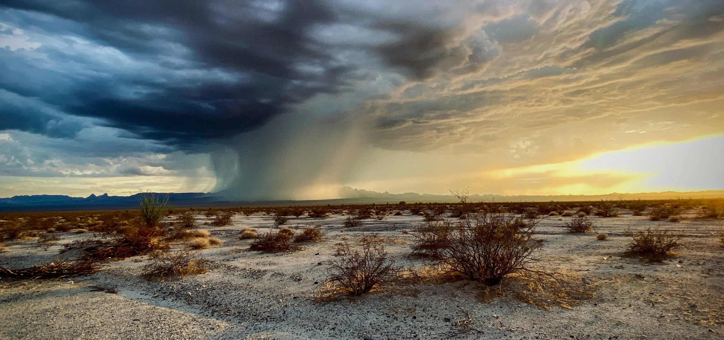Desert Storm.jpg