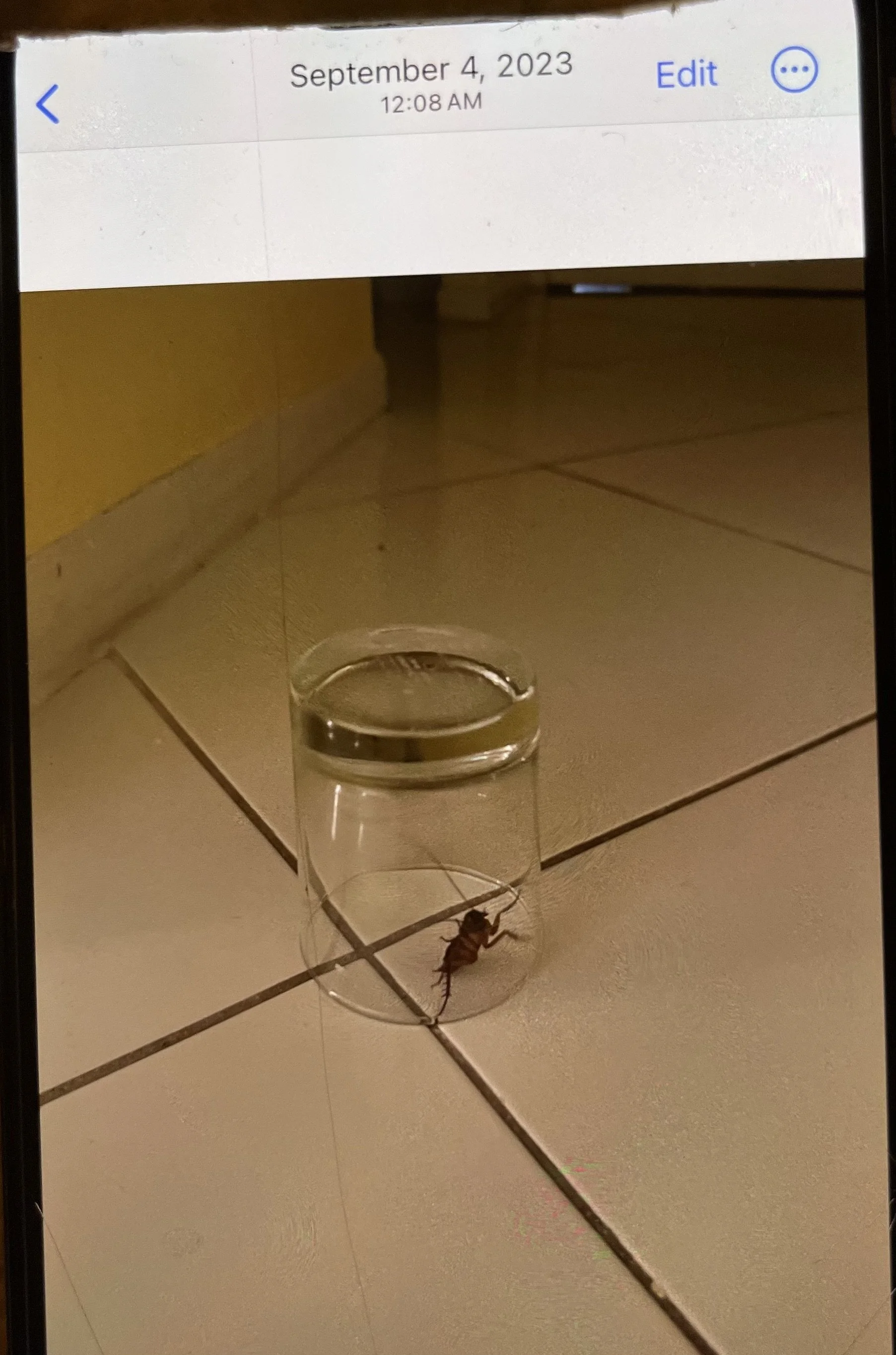 IMG_6792 (1).jpeg