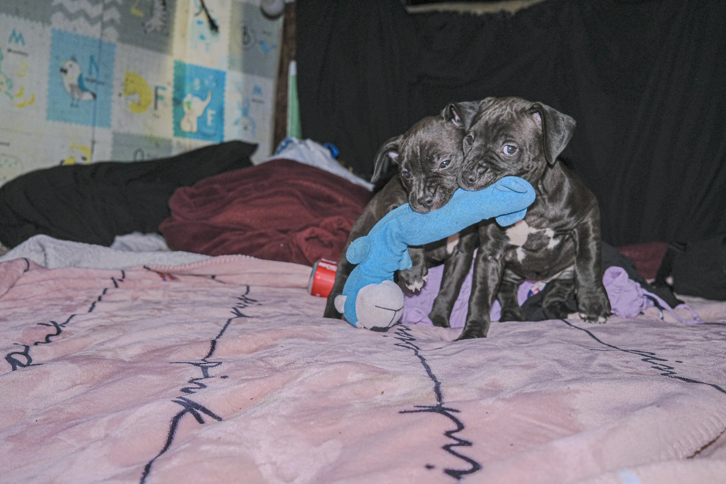 DSCF2807.jpg