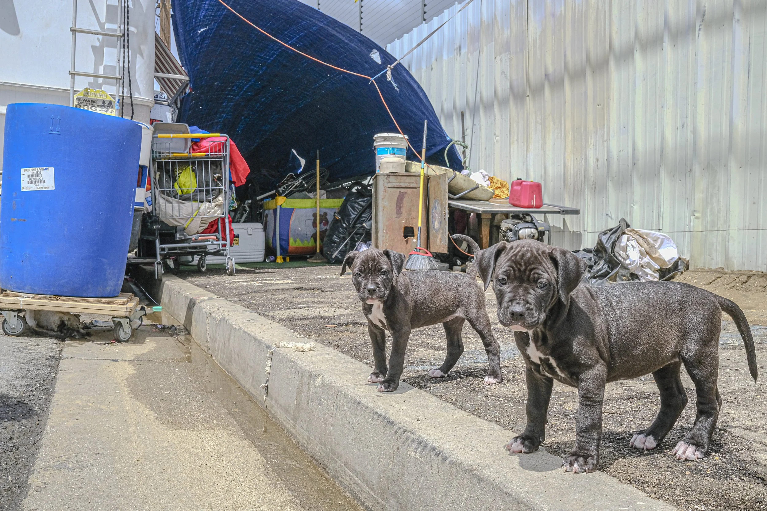 DSCF2563.jpg