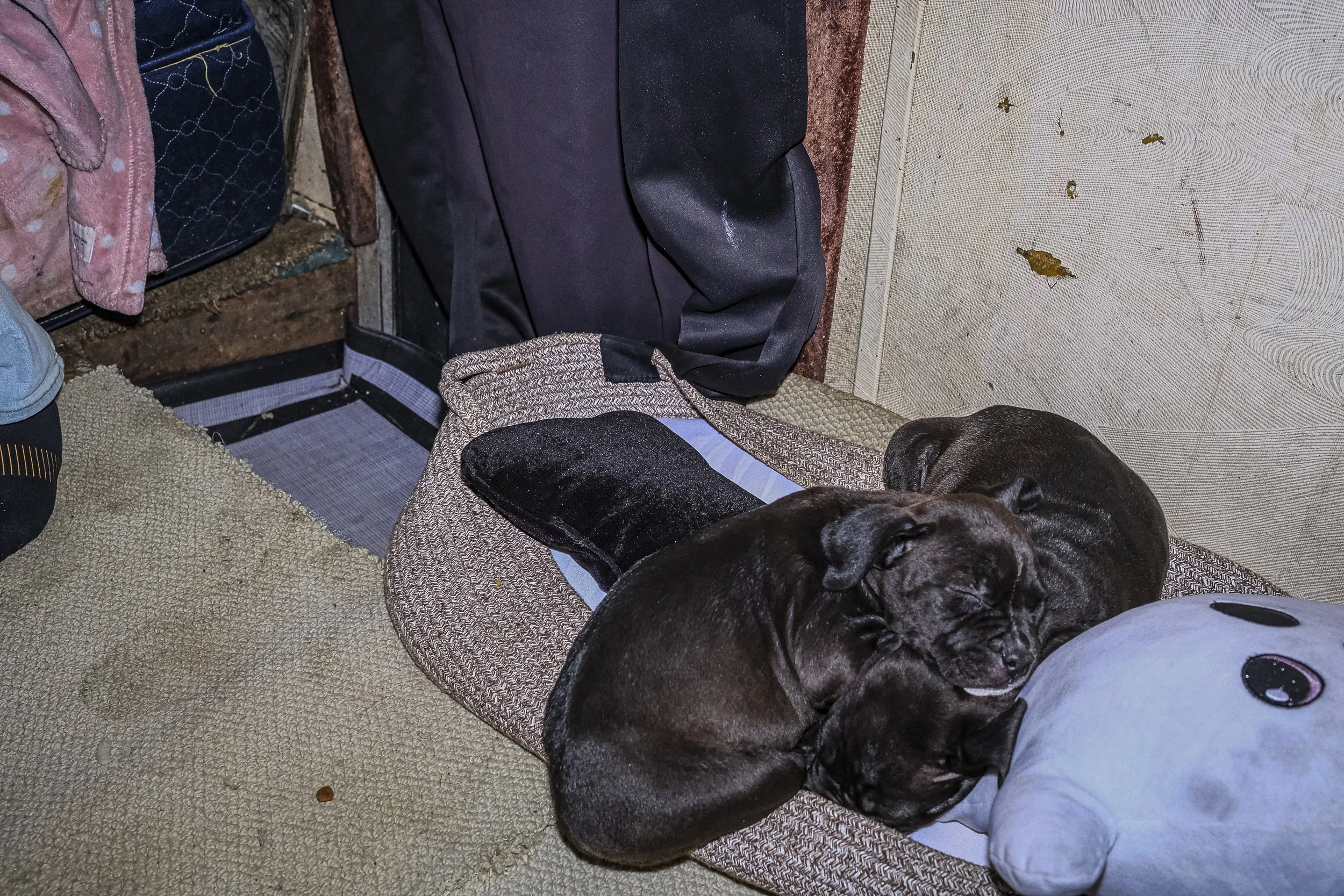 DSCF2193.jpg