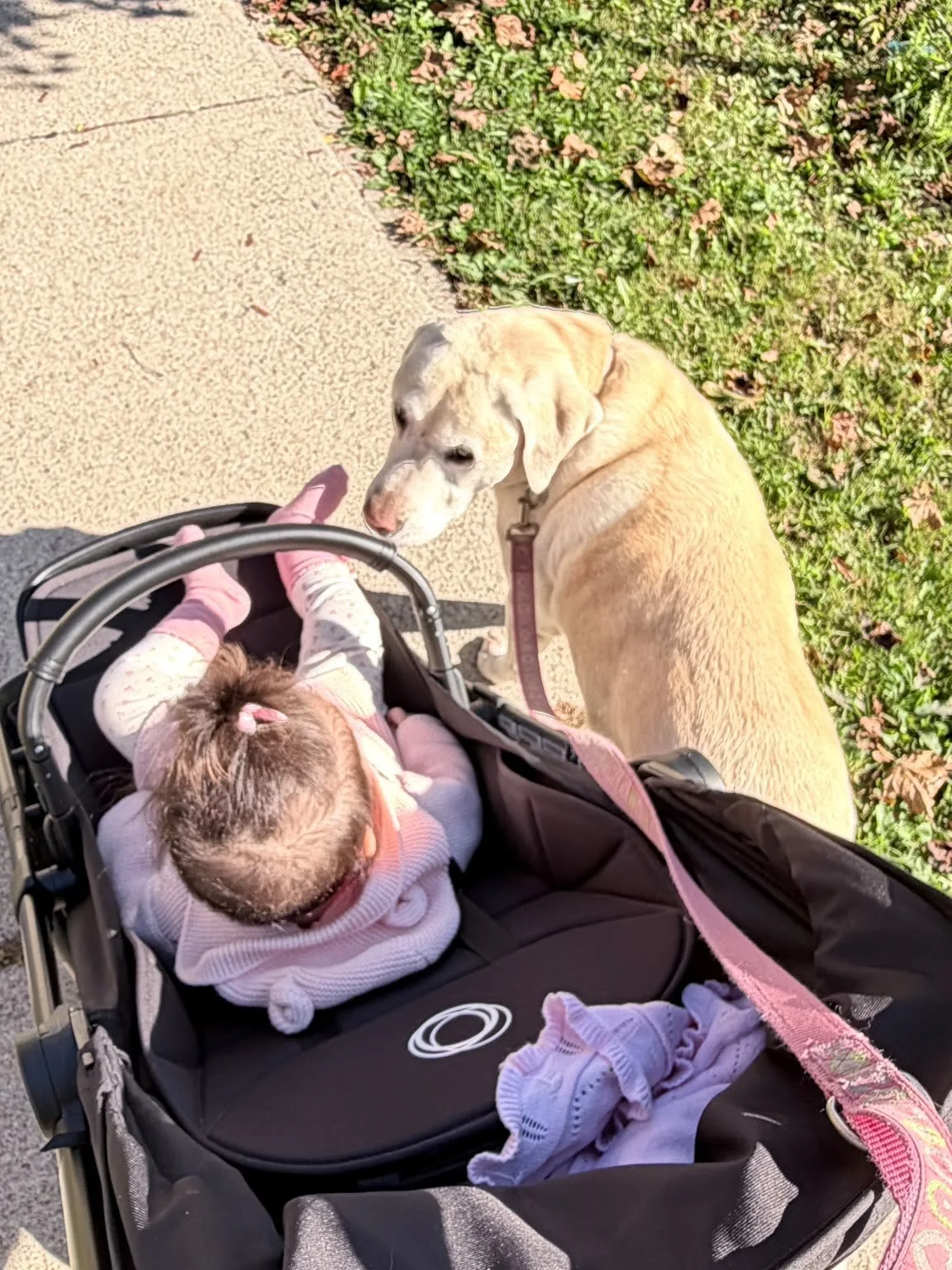 My favourite way to start the day: calm morning walks with Leo, Maddie, &amp; my granddaughter Lucia!