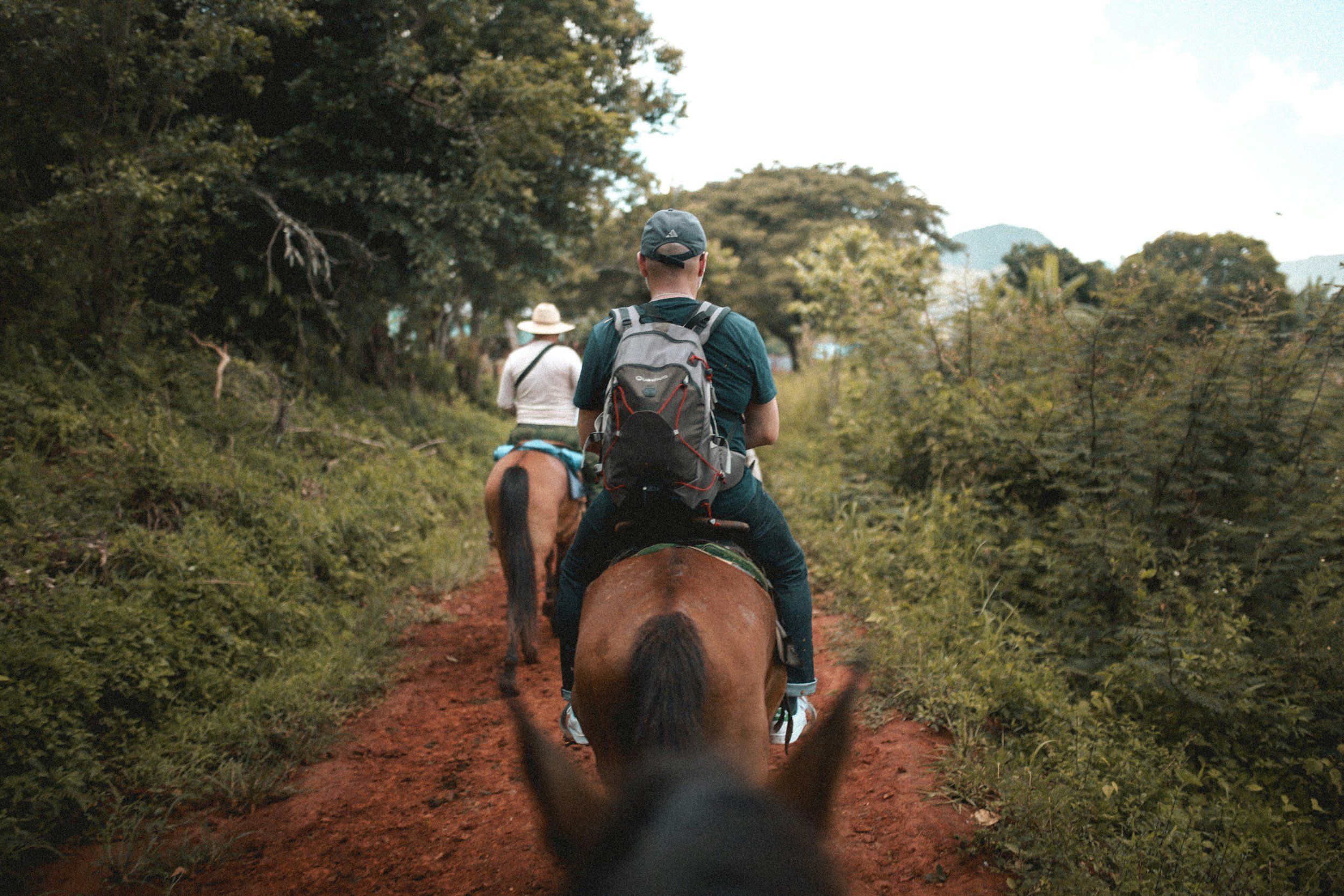 Two people riding horses along a dirt trail through lush green forest with trees and mountains in the distance.