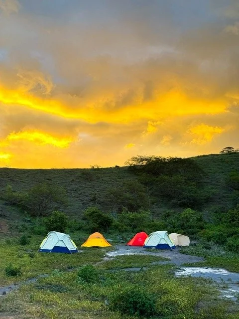 Four tents set up on grassy terrain with a sunset sky and hills in the background.