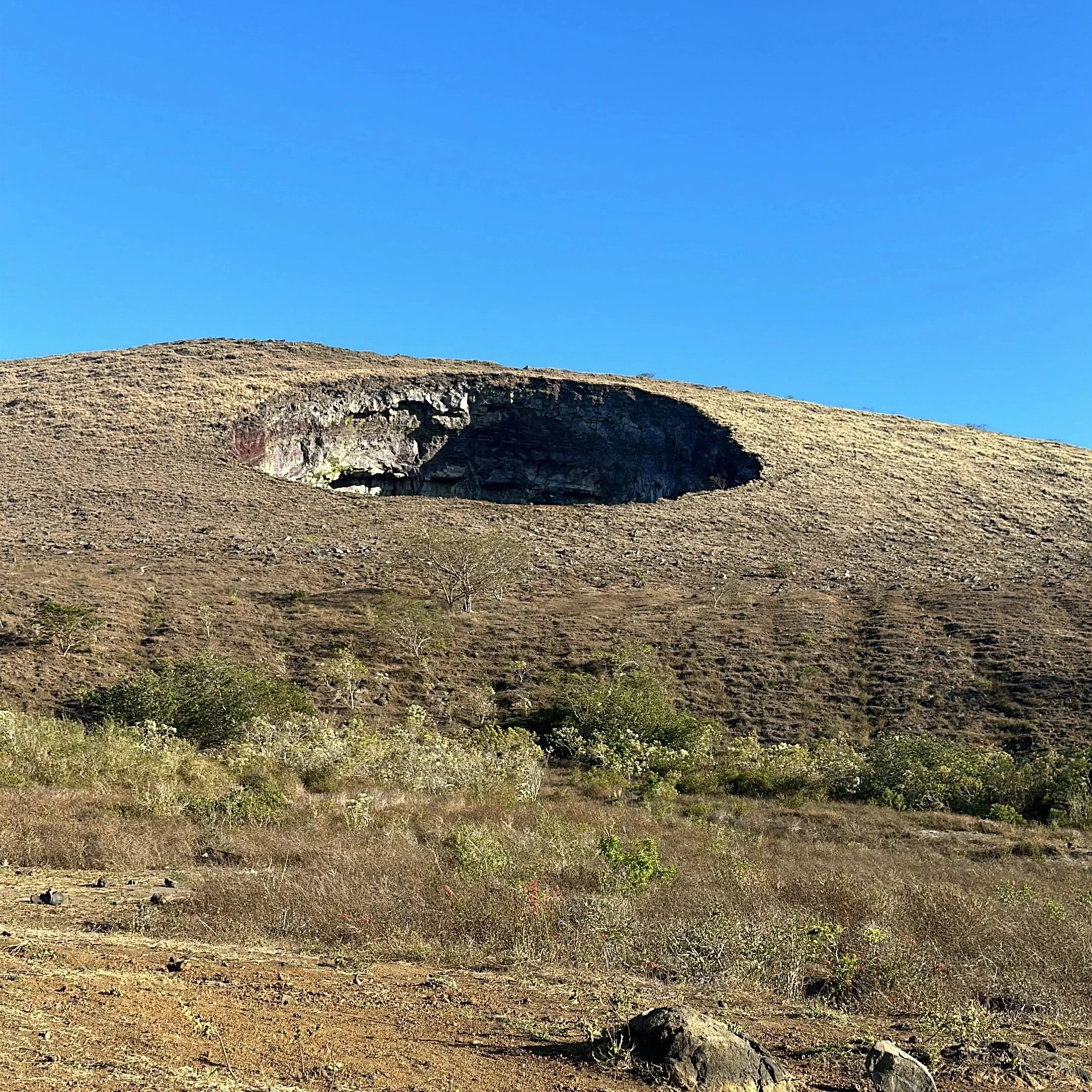 Dry, barren hillside with sparse vegetation and rocky patches under a clear, bright blue sky.