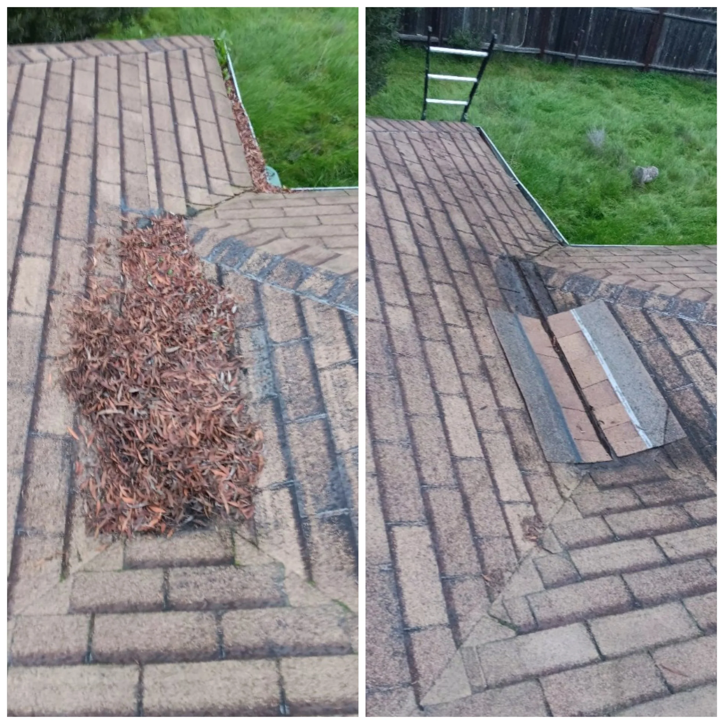 roof Cleaning stockton