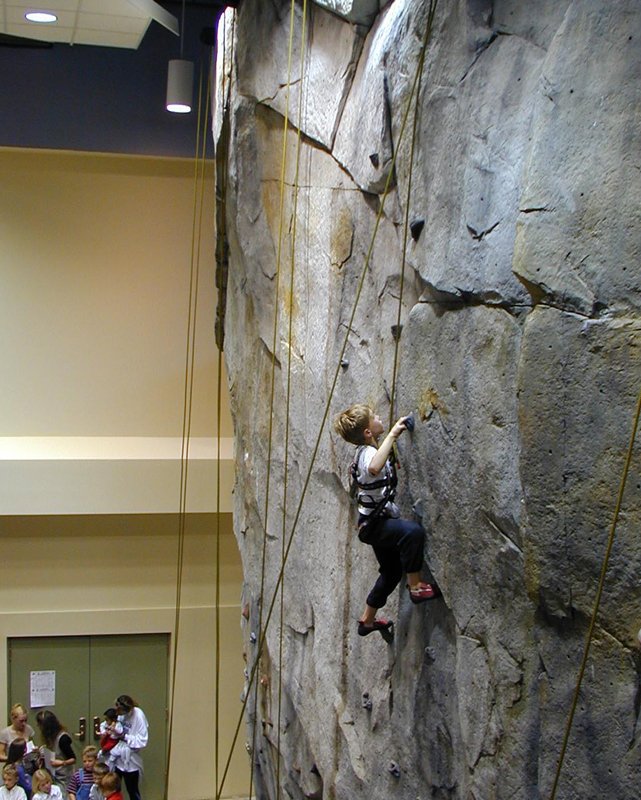 Gelnwood1.jpg