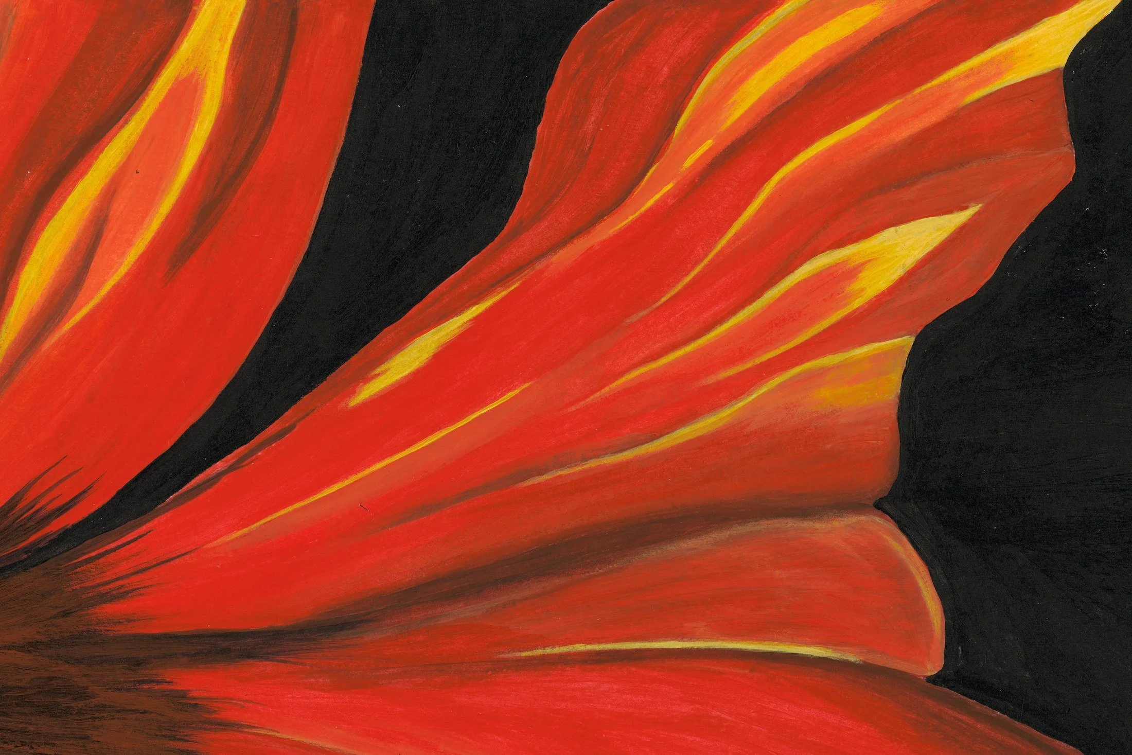 red-orange-fiery-bloom-floral-detail-closeup.jpg